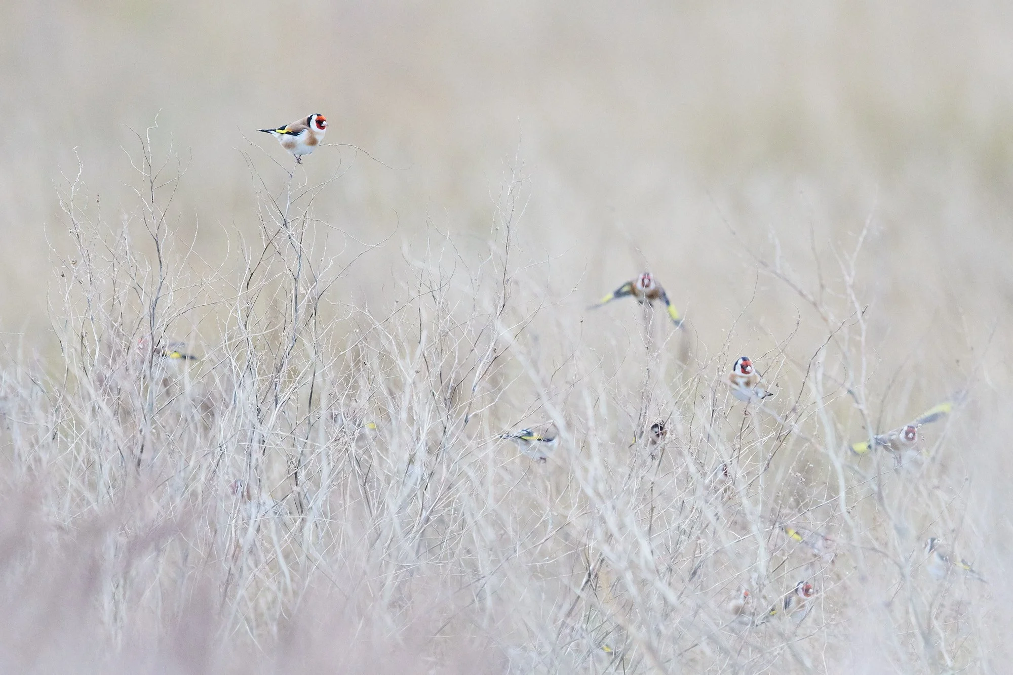 KW 8 - Kälte, Wärme, Hoffnung