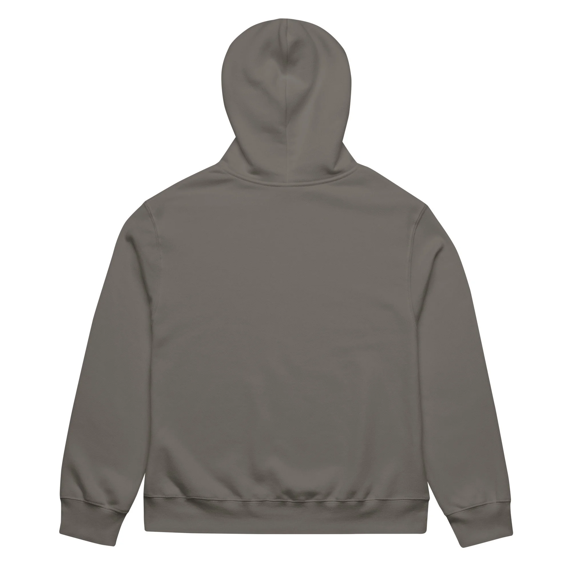 unisex-oversized-heavyweight-hoodie-asphalt-back-68ac91eb2e6b7.jpg