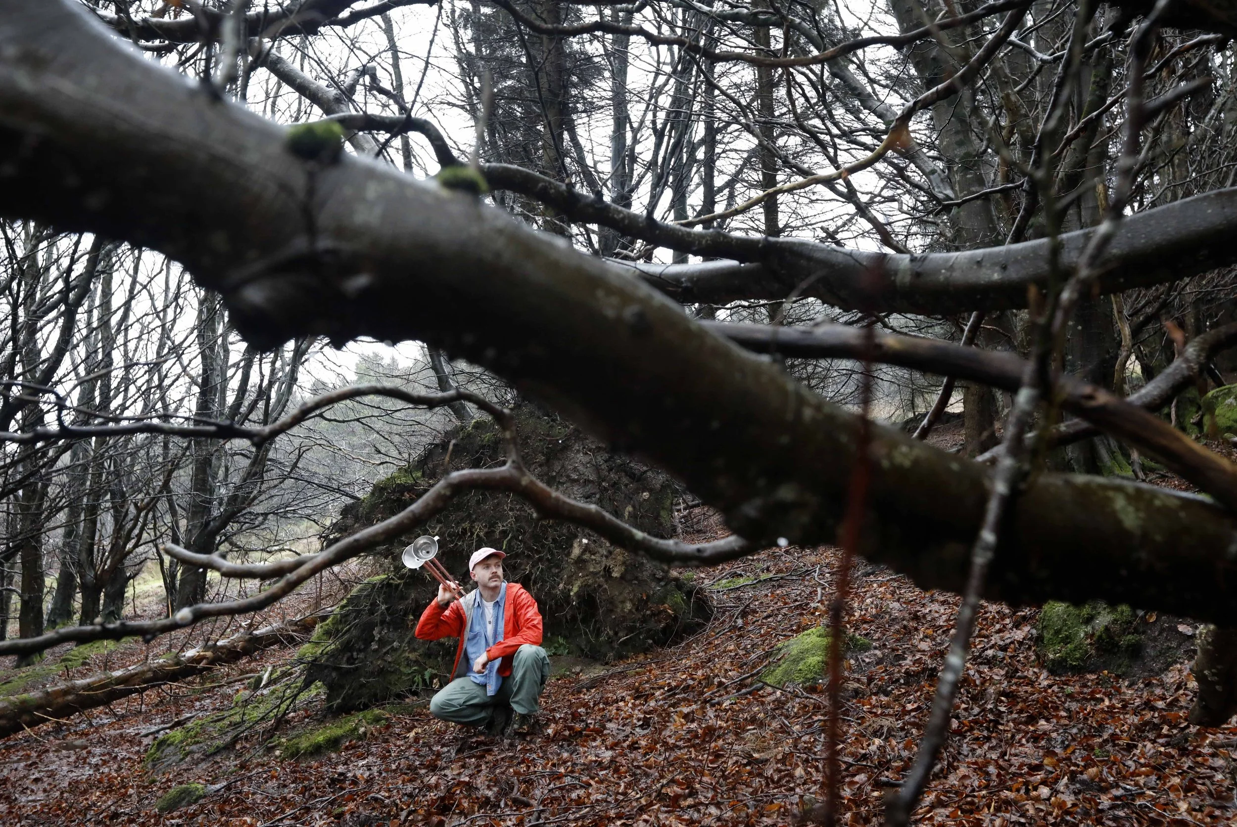 Artists turn to Dublin’s forests to explore community benefits and climate impacts