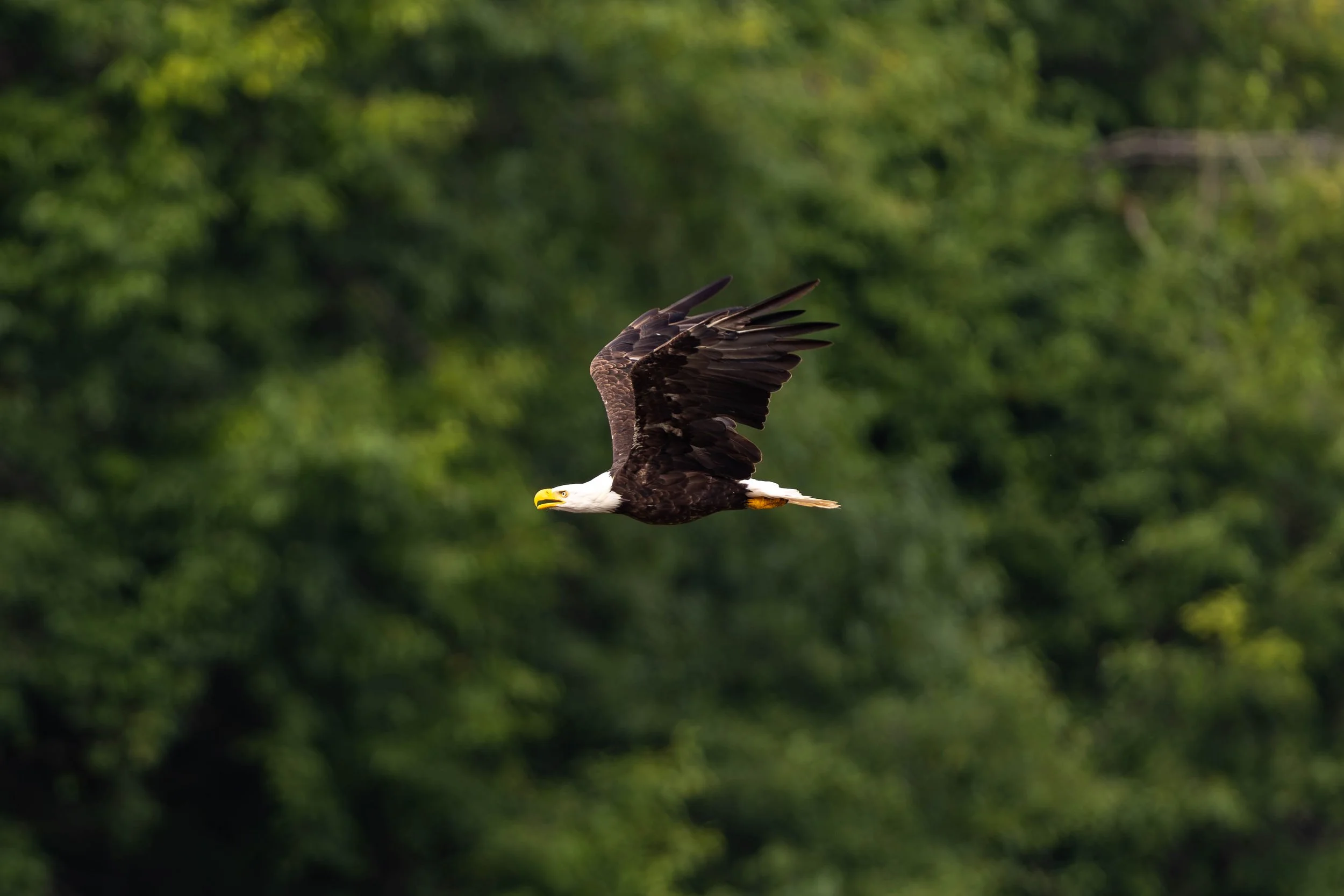 963A7961.jpg