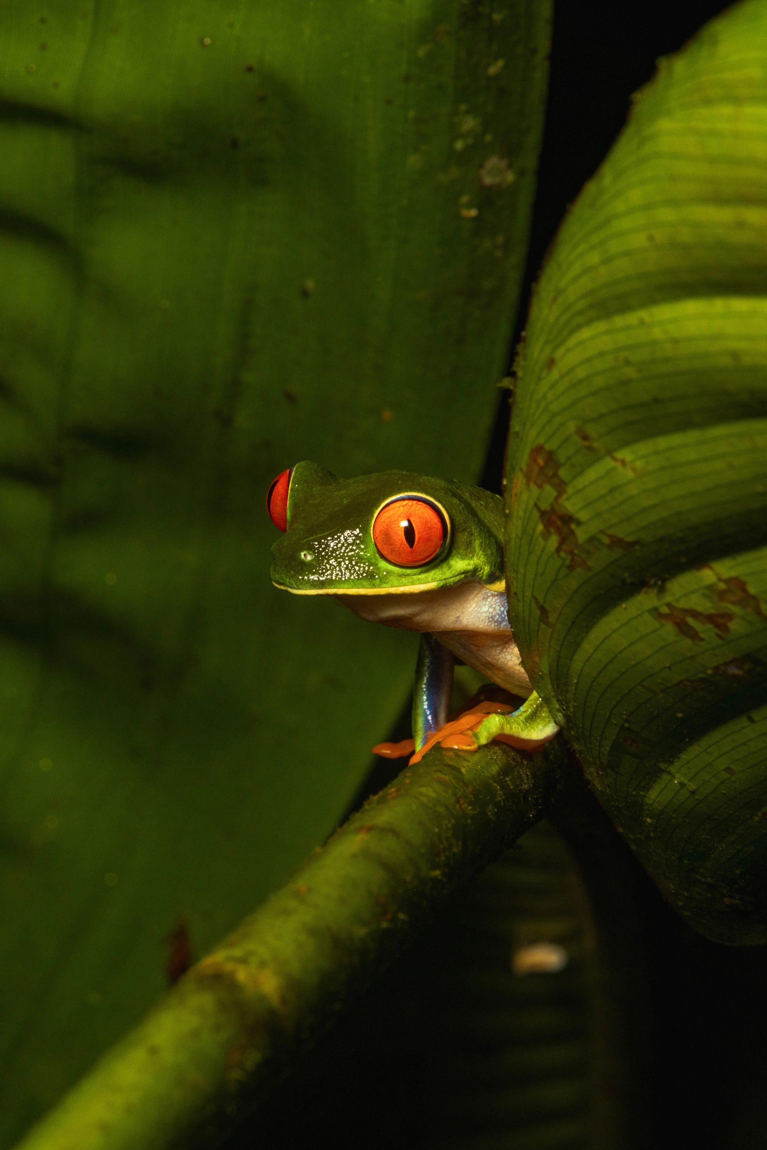 DSCF4370.jpg