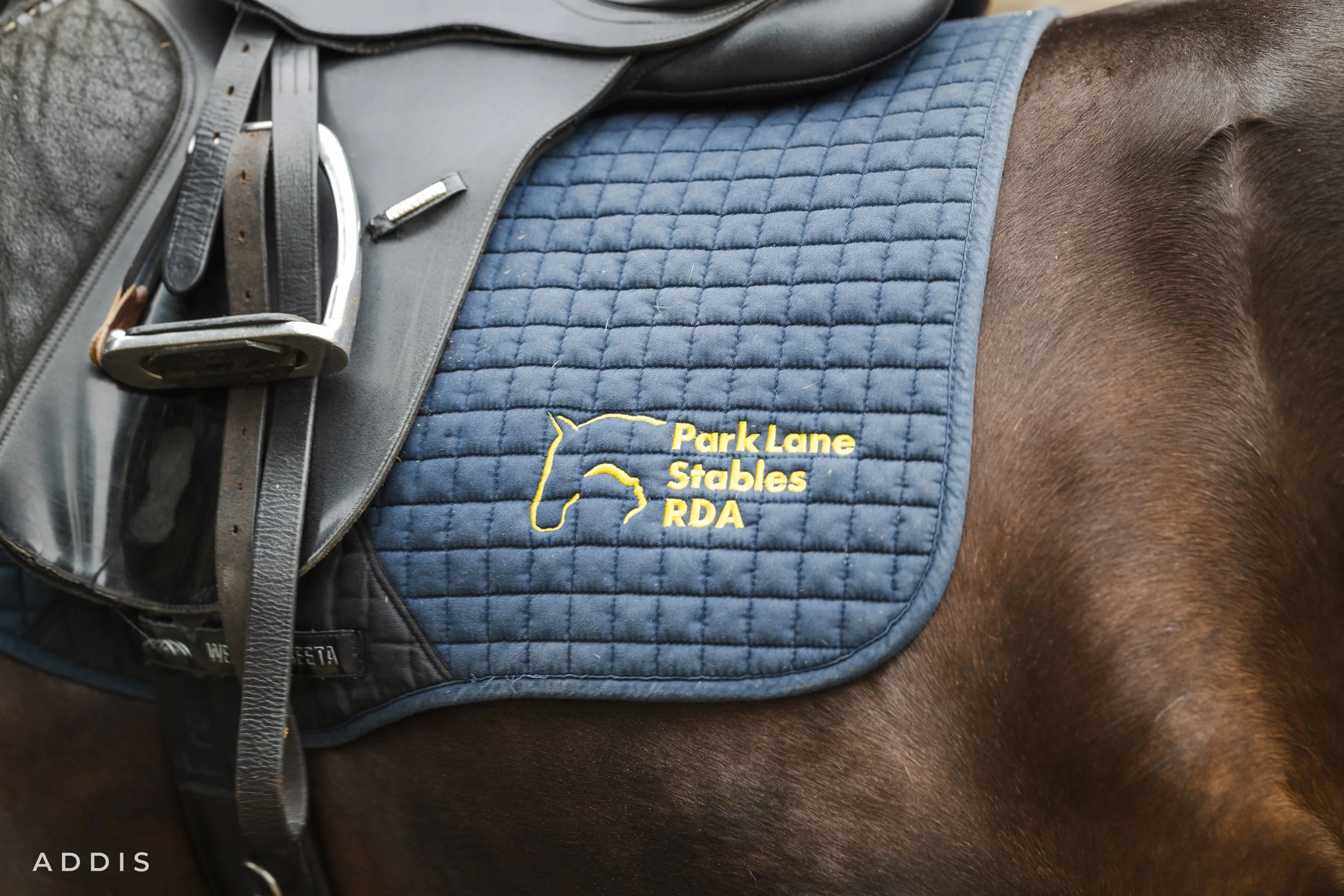 Close-up of a horse's saddle with a blue saddle pad that has embroidered yellow text reading 'Park Lane Stables RDA.' The saddle includes girth straps and a stirrup.