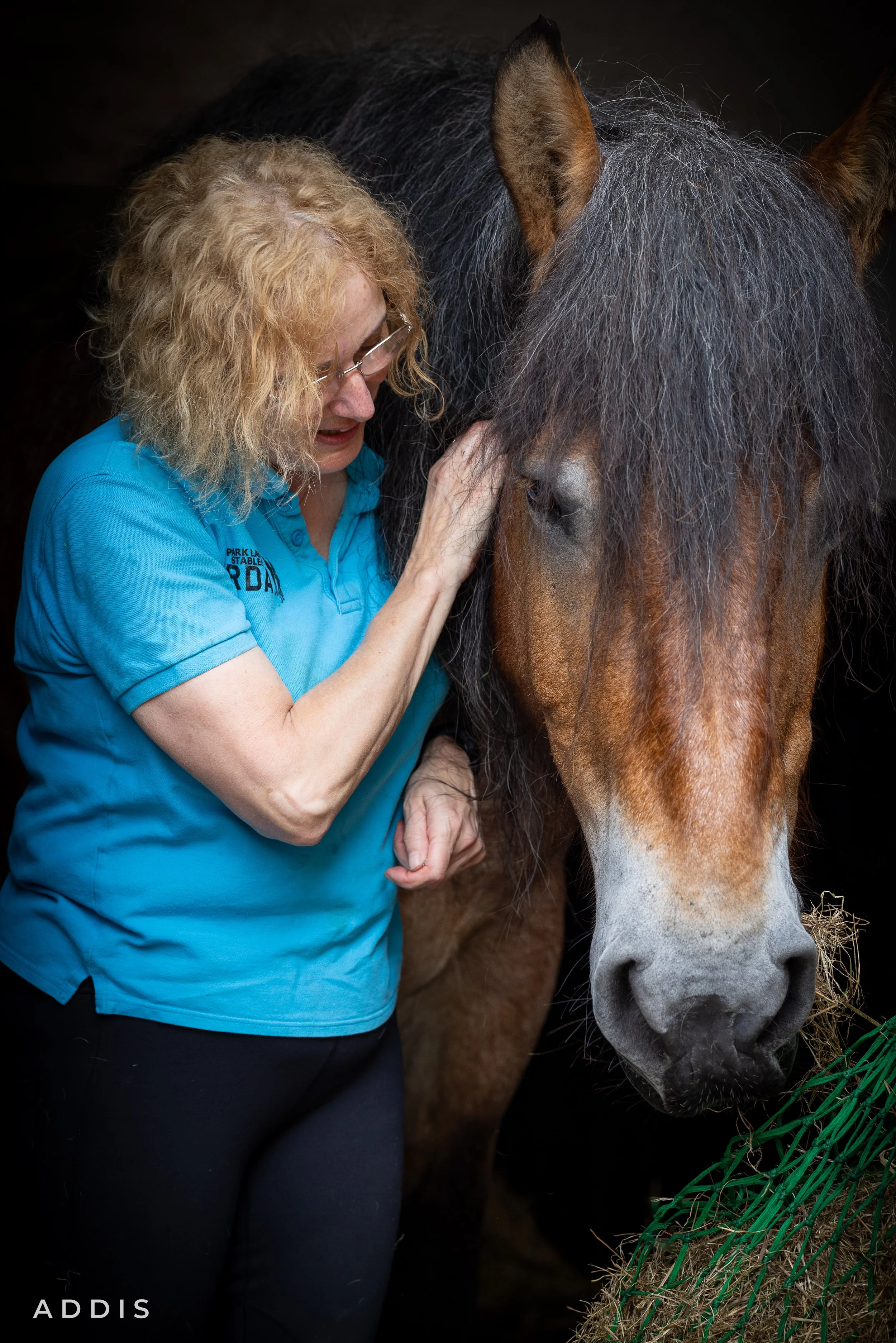 A woman with curly blonde hair, wearing glasses and a blue polo shirt, gently touches the face of a brown and black horse with a gray mane in a dark stable.