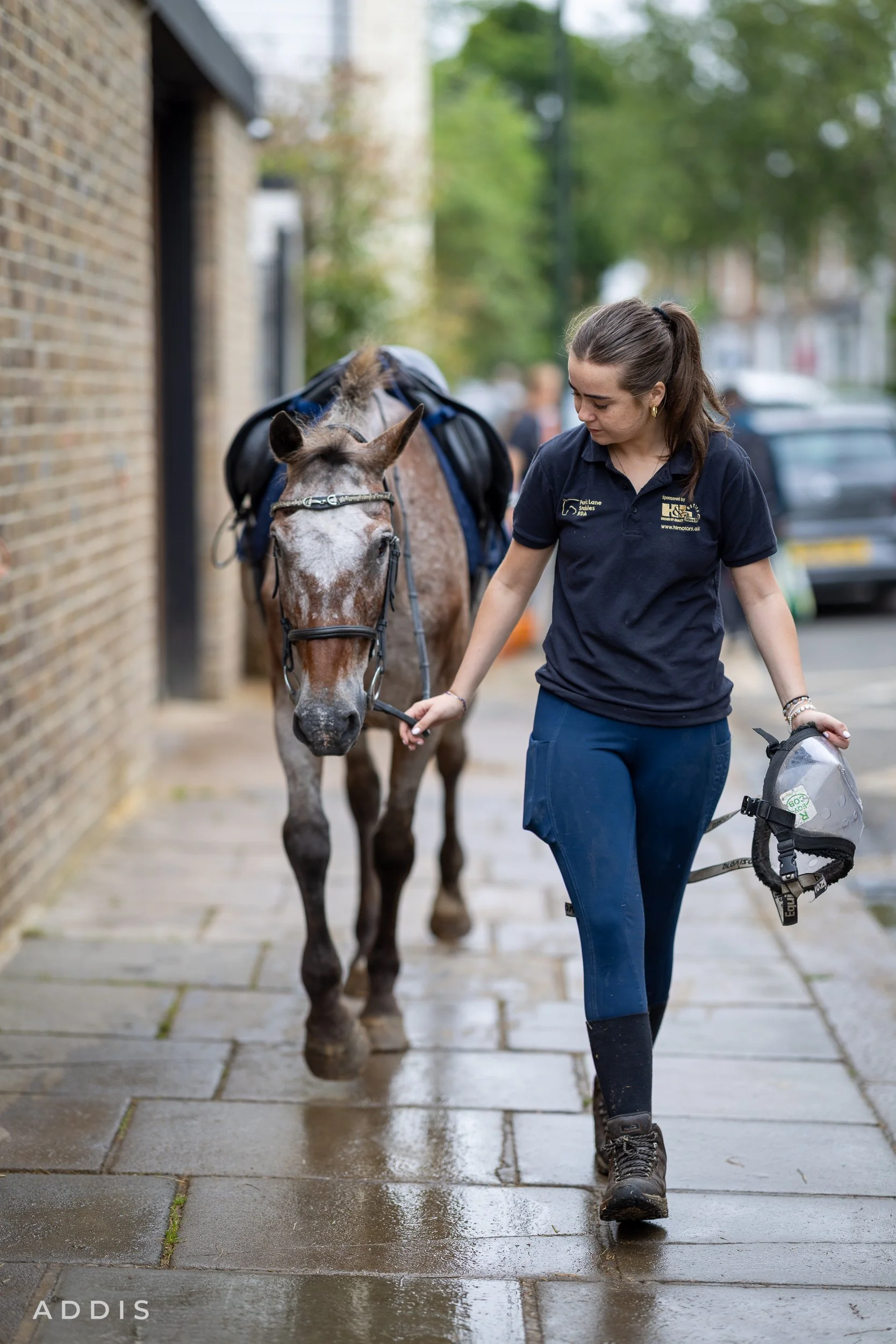 A woman walking a horse on a wet sidewalk in an urban setting, wearing a navy shirt and blue pants, holding a helmet, with green trees and cars in the background.