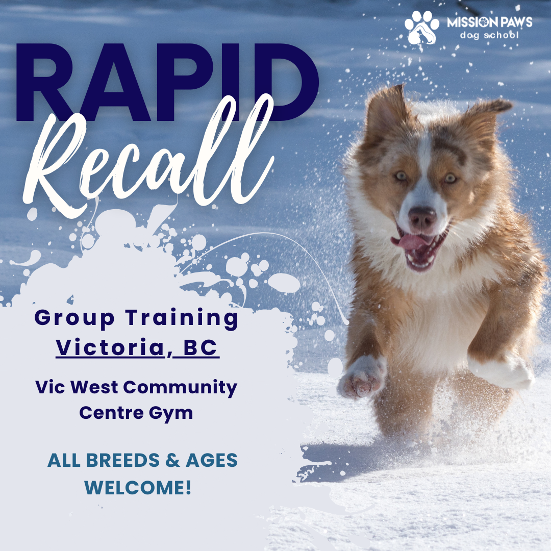 Copy of Copy of Copy of Copy of Recall ladder of Success.png