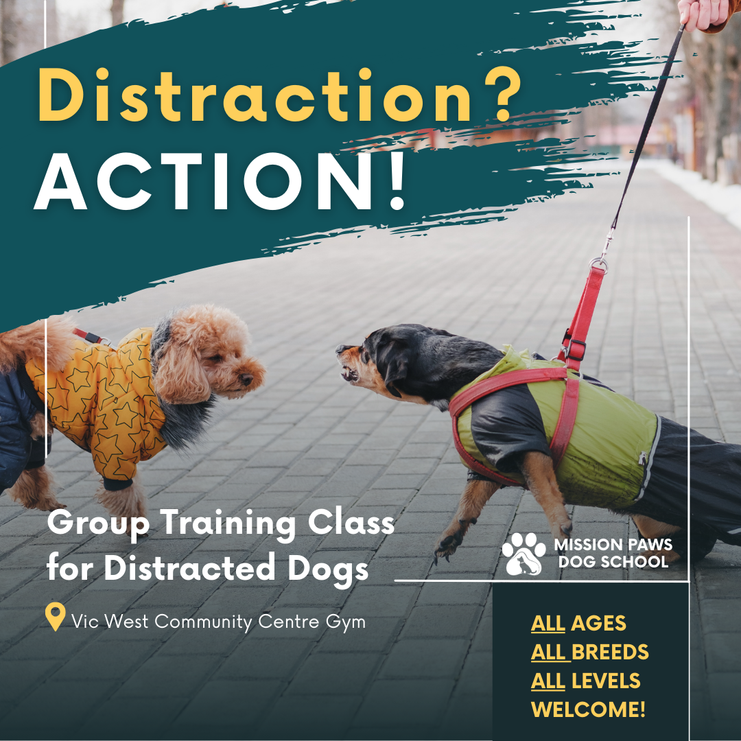Copy of Distraction Action Ad (3).png