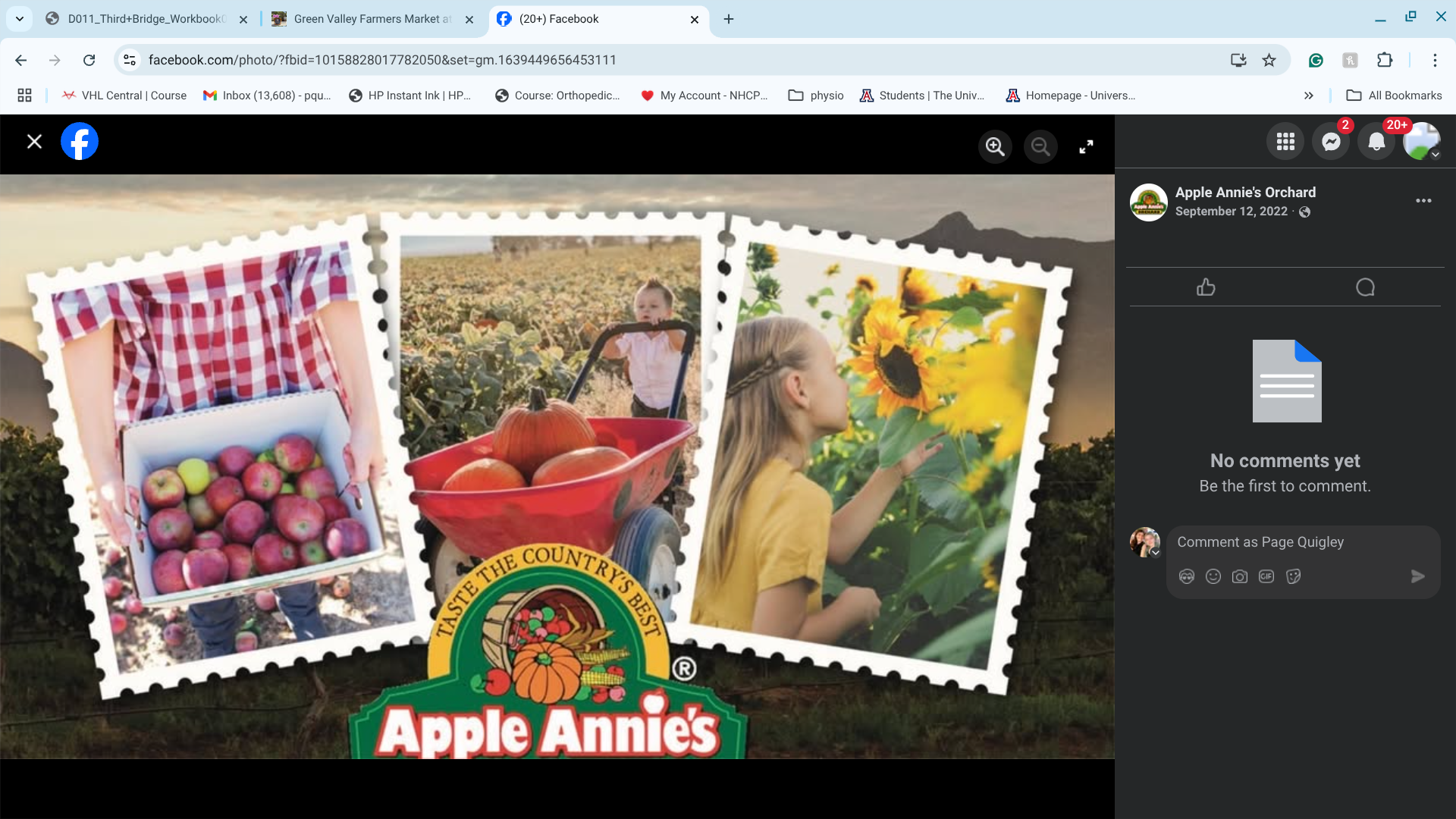 Apple Annies Fall Festival Market