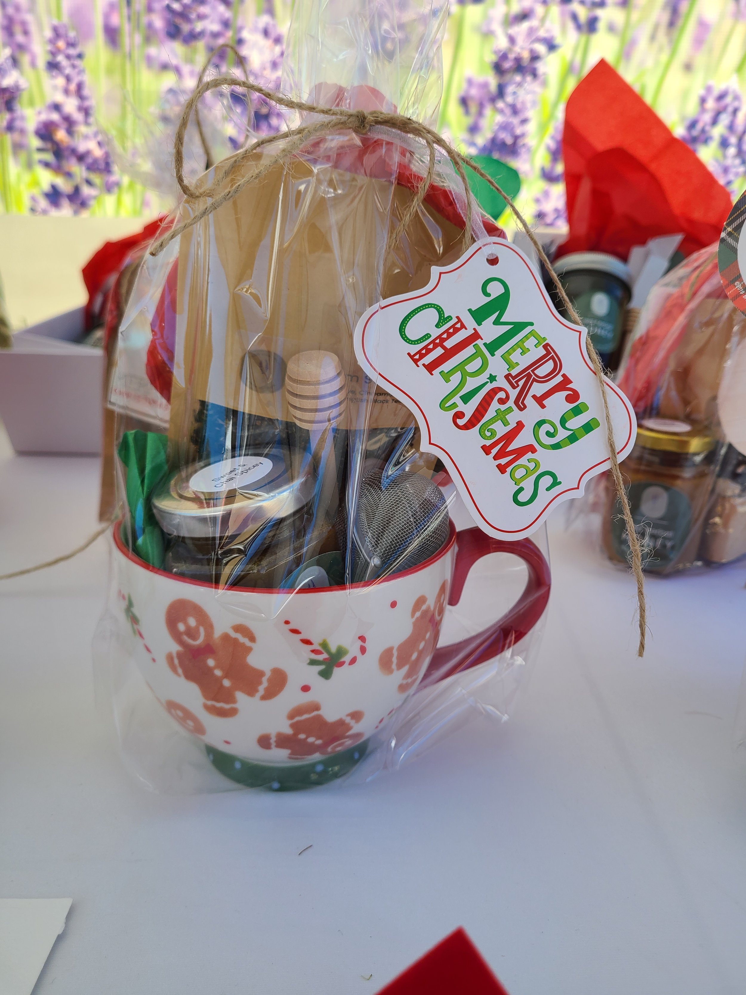 Tucson Zoo Lights Festival