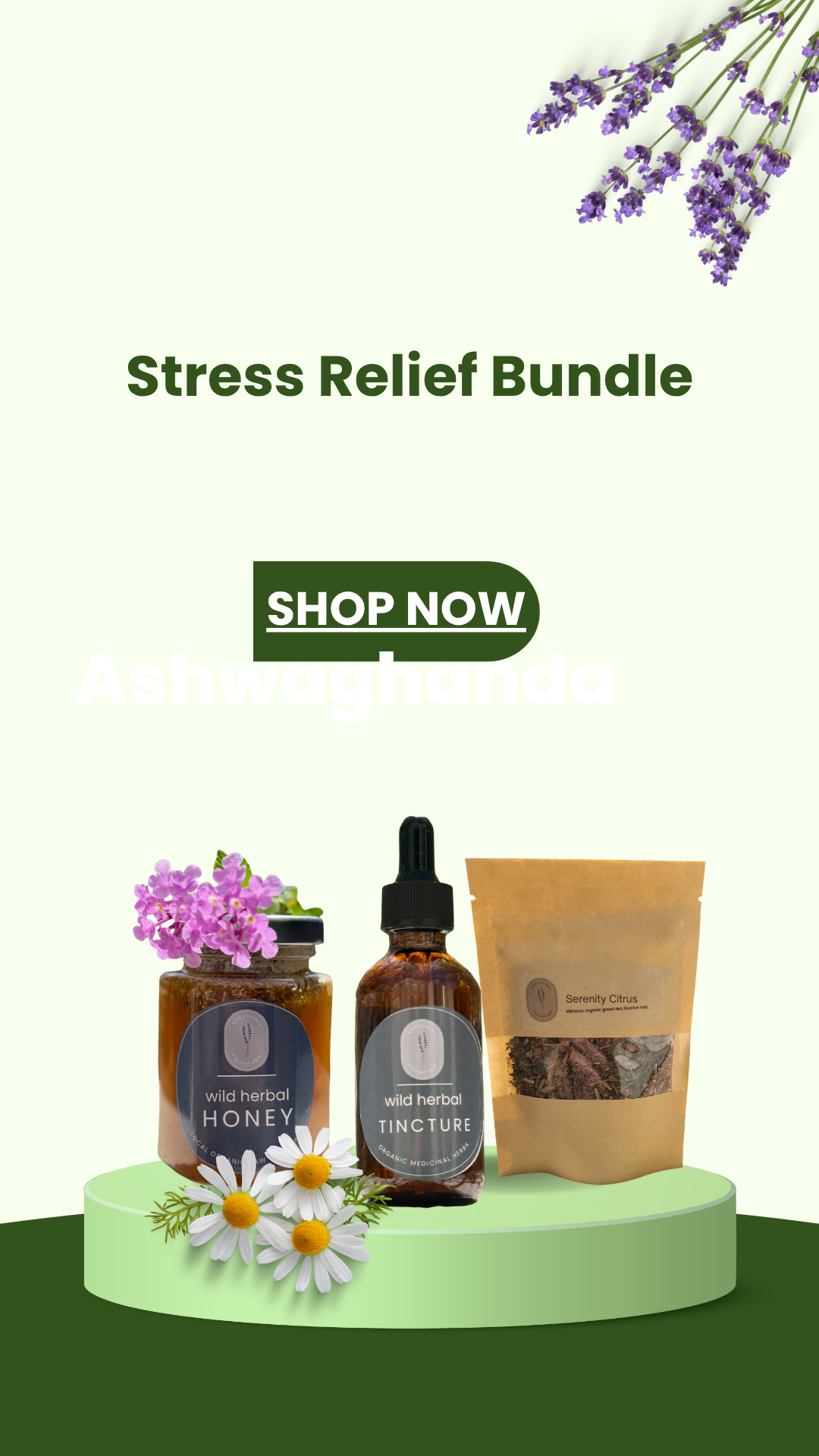 Stress+Relief+Bundle.png