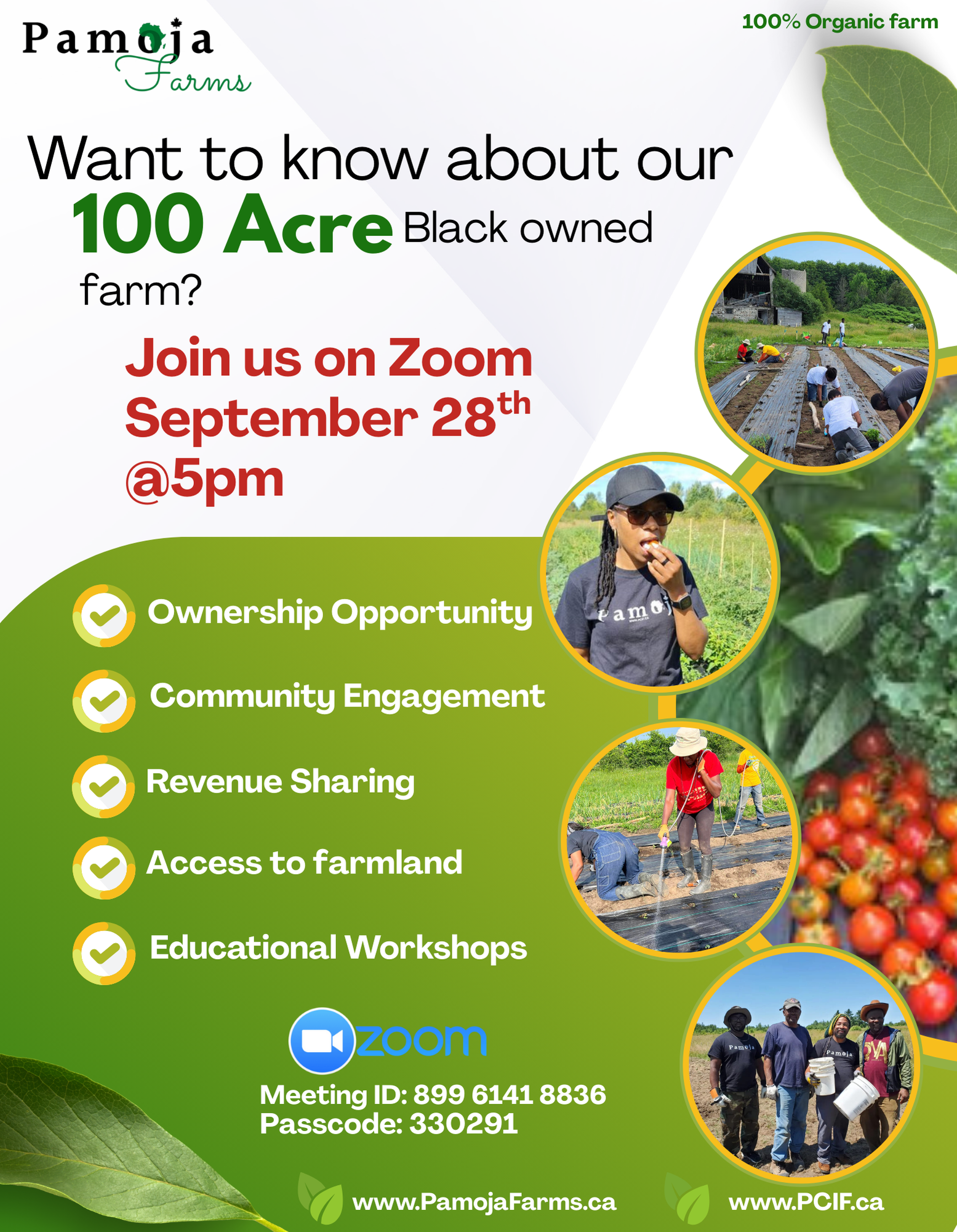 Learn More About Pamoja Farms!