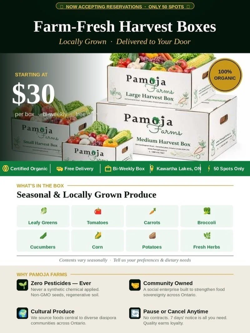 🌱 **Exciting News from Pamoja Farms!** 🌱

This summer, enjoy the taste of freshness with our **Farm-Fresh Harvest Boxes**! 🥕🥦 Locally grown and delivered right to your door, these boxes are packed with seasonal produce starting at just **$30**! 
