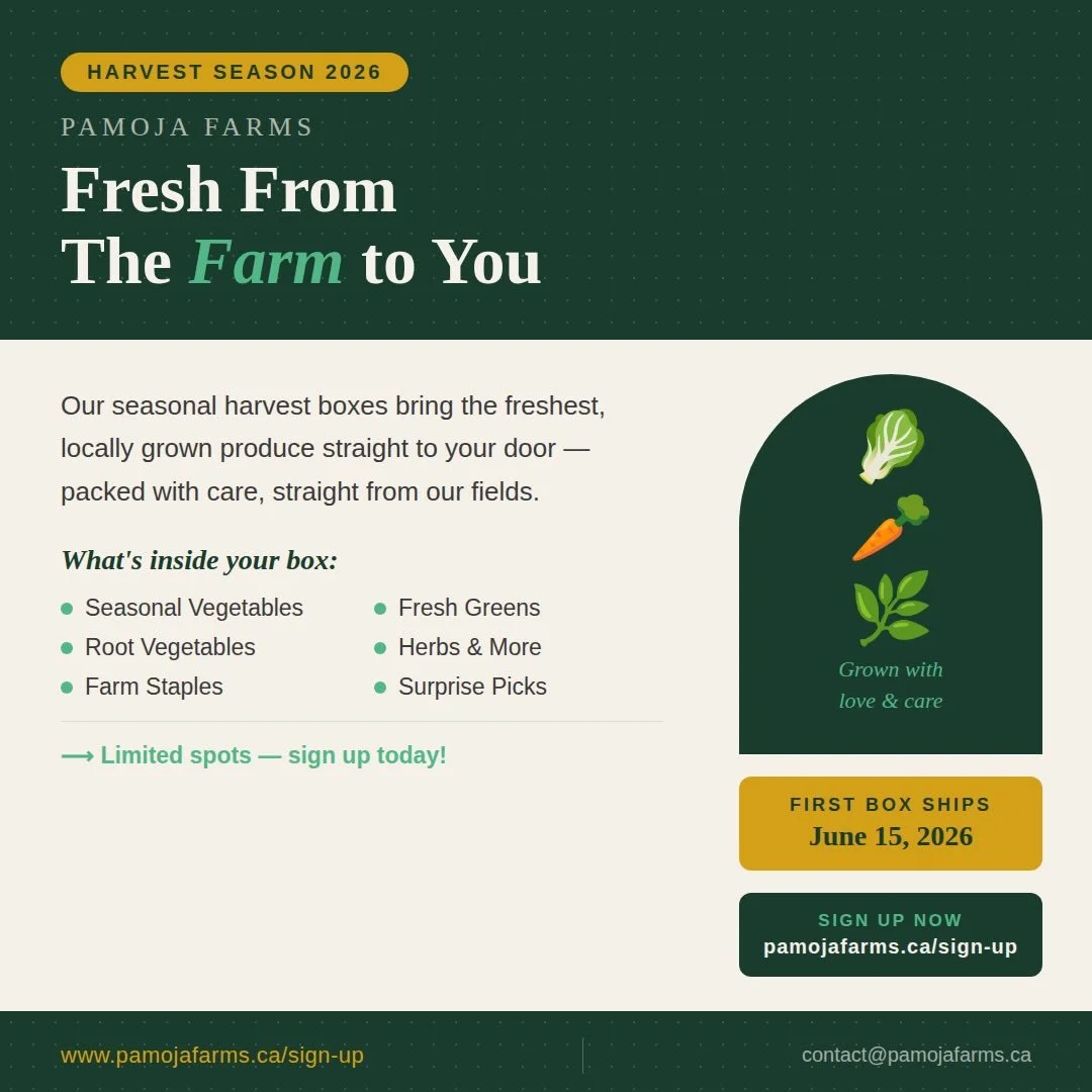 Something special is coming to your neighbourhood this summer 🌱
At Pamoja Farms, we believe fresh, organic food should be accessible to everyone. Our Harvest Box is a bi-weekly delivery of 8&ndash;10 seasonal vegetables &mdash; affordable, and cultu