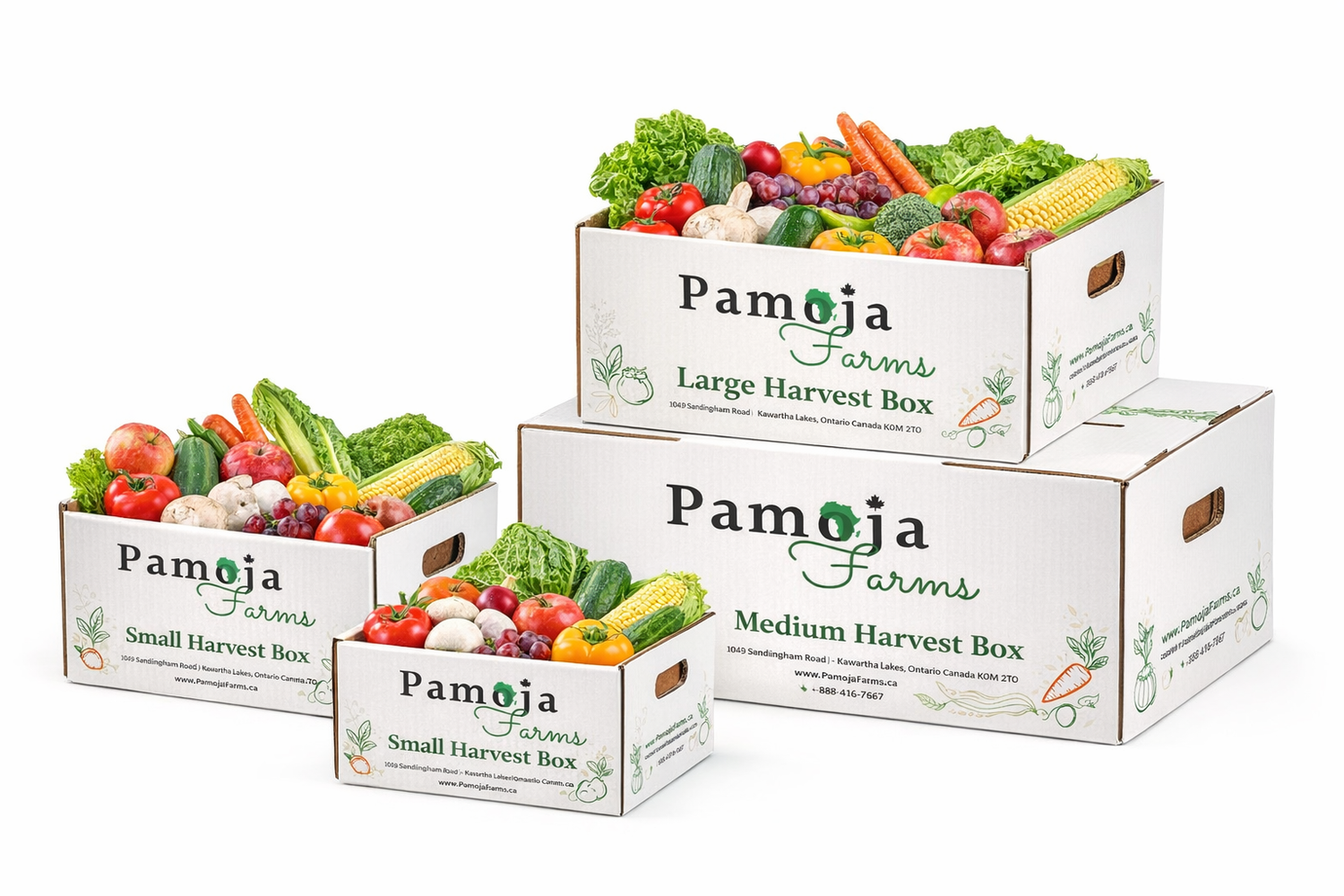 Pamoja Farms Harvest Boxes