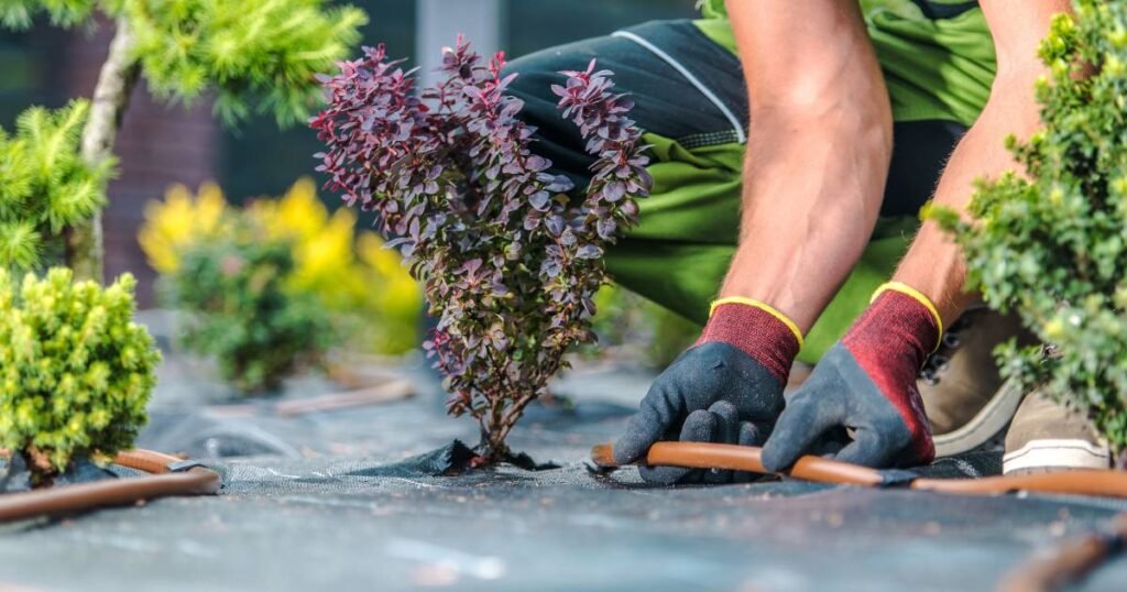 Drip Line Irrigation Demonstration (Free Event)