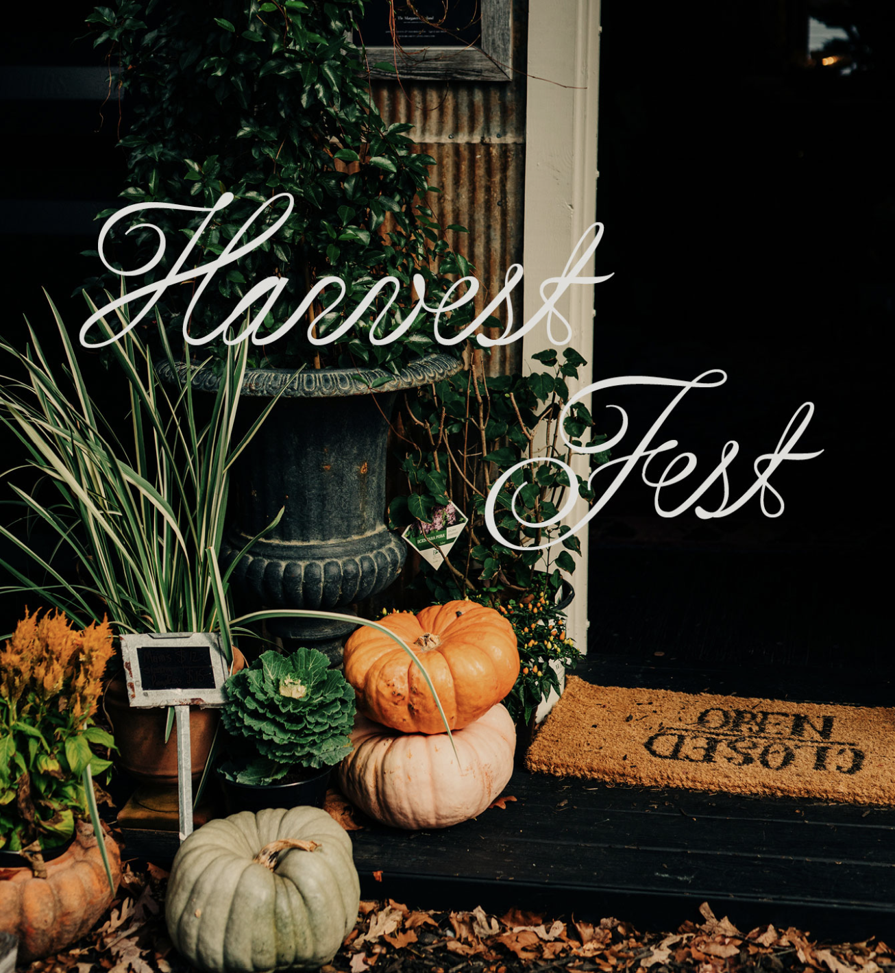 Third Annual Harvest Fest