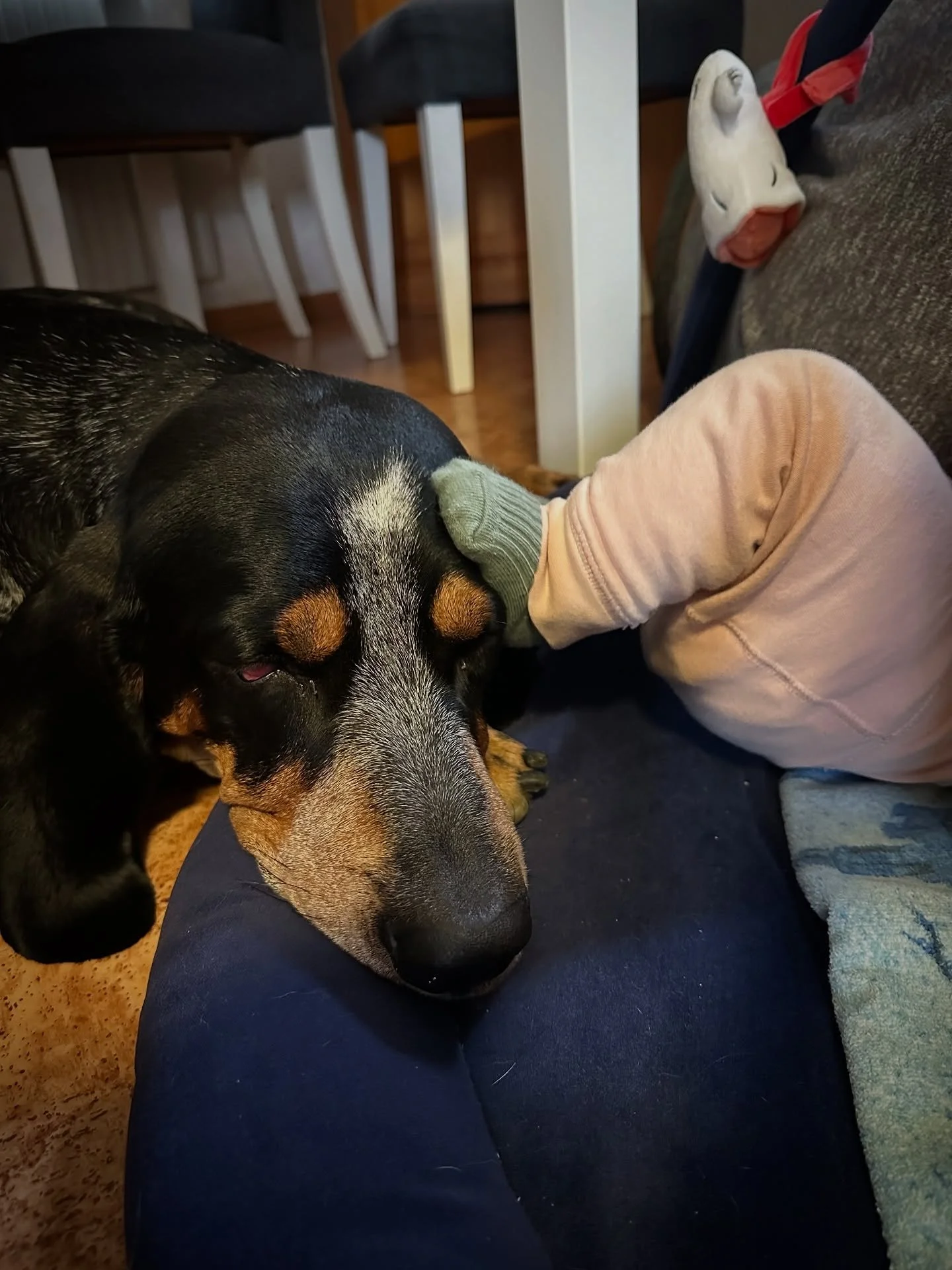 Han ligger d&auml;r, inte f&ouml;r att han m&aring;ste&hellip; Han ligger d&auml;r f&ouml;r att han vill. Rollen som hennes v&auml;ktare tog han p&aring; sig l&aring;ngt innan hon kom in genom d&ouml;rren.

F&ouml;rsta tiden blev r&ouml;rig. Arbetsbe