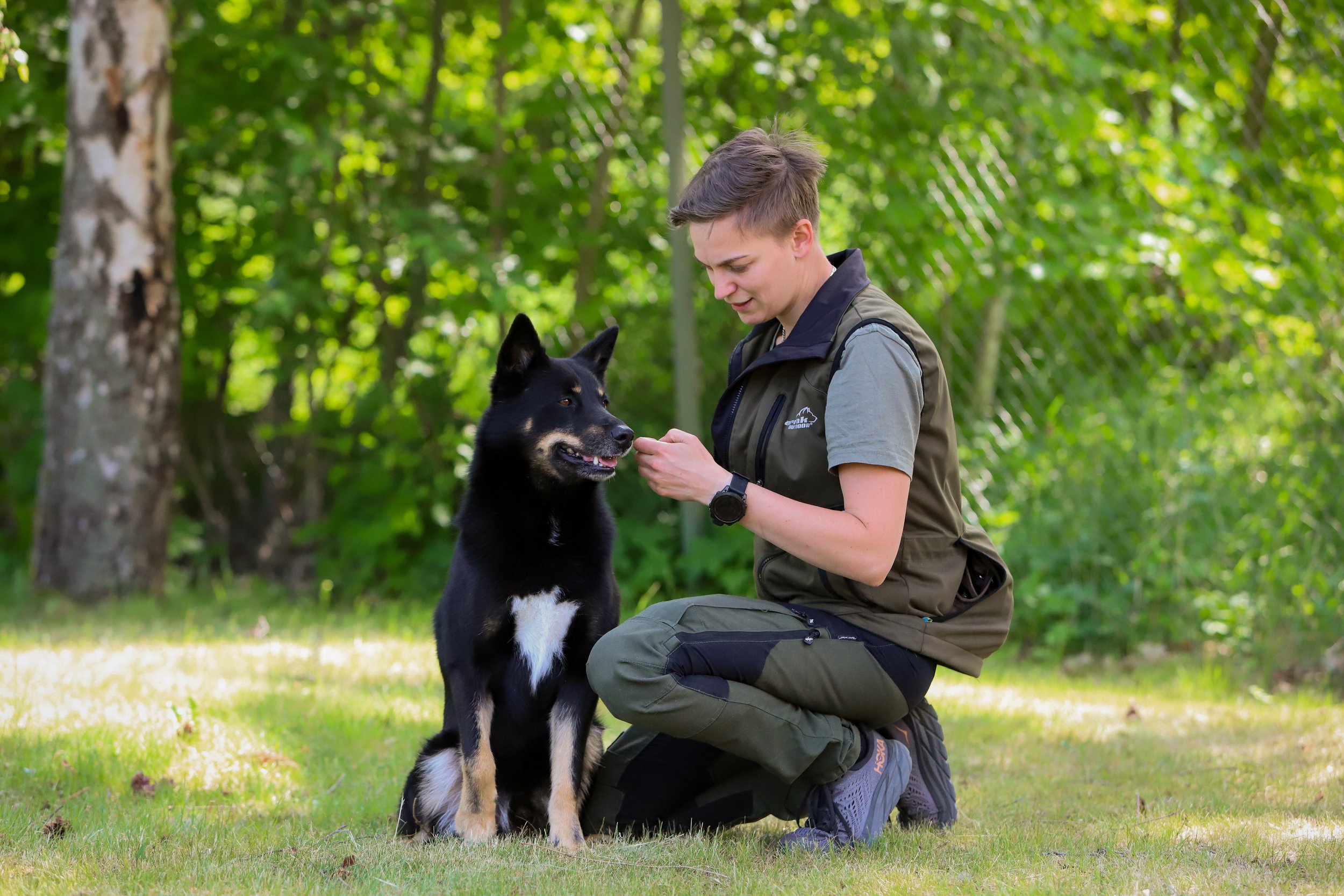 En person som tränar en svart hund med vit bröst, ute i en grön miljö.