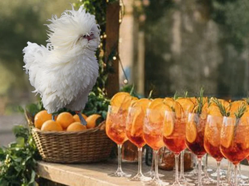 Henhouse Happy Hour