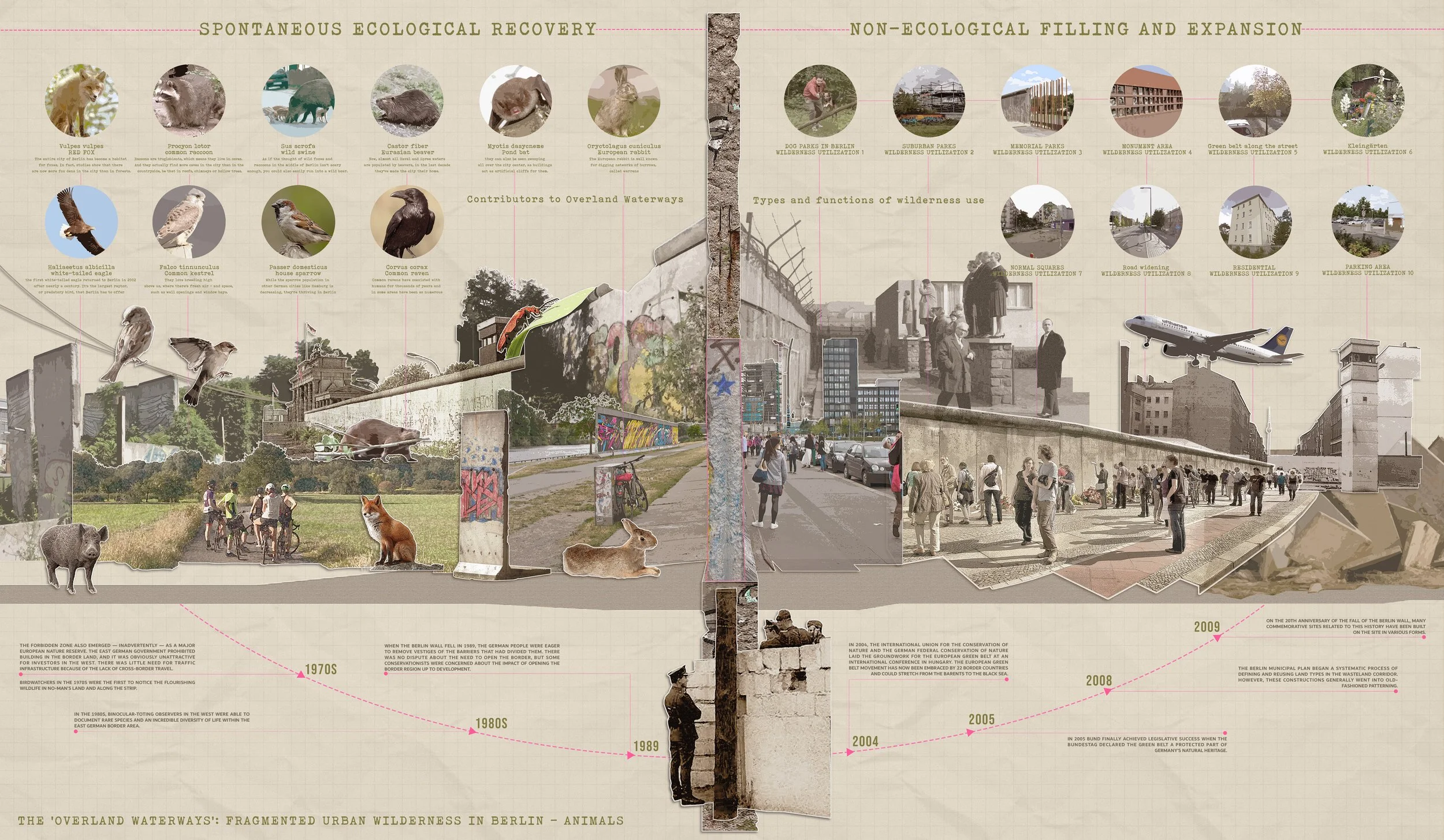 Yi_Luo_Berlin_Wall_Ecology_Animal_and_Wall_Differentiation_Collage 拷贝.jpg