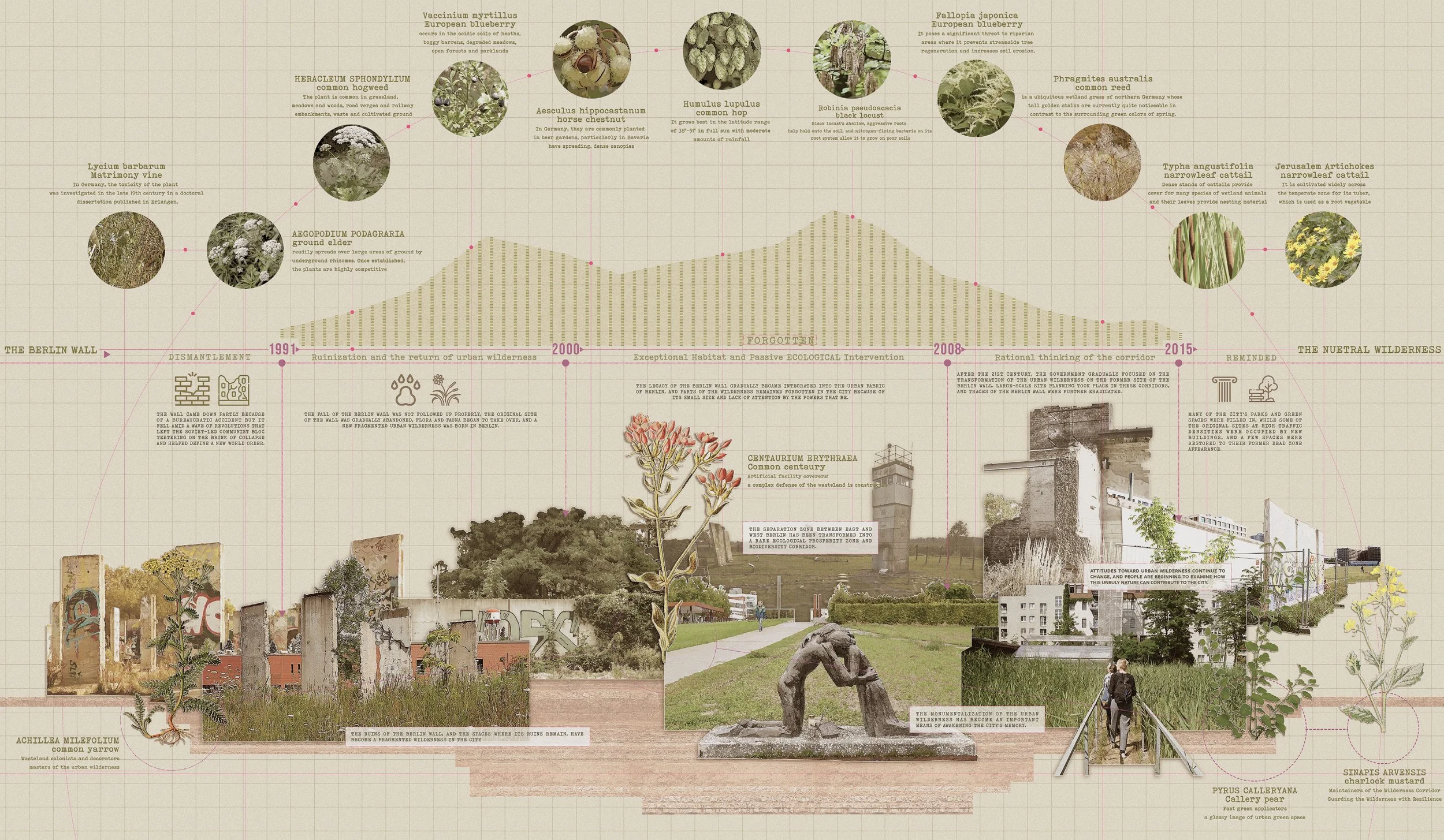 Yi_Luo_Berlin_Wall_Ecology_Collage_and_Research.jpg
