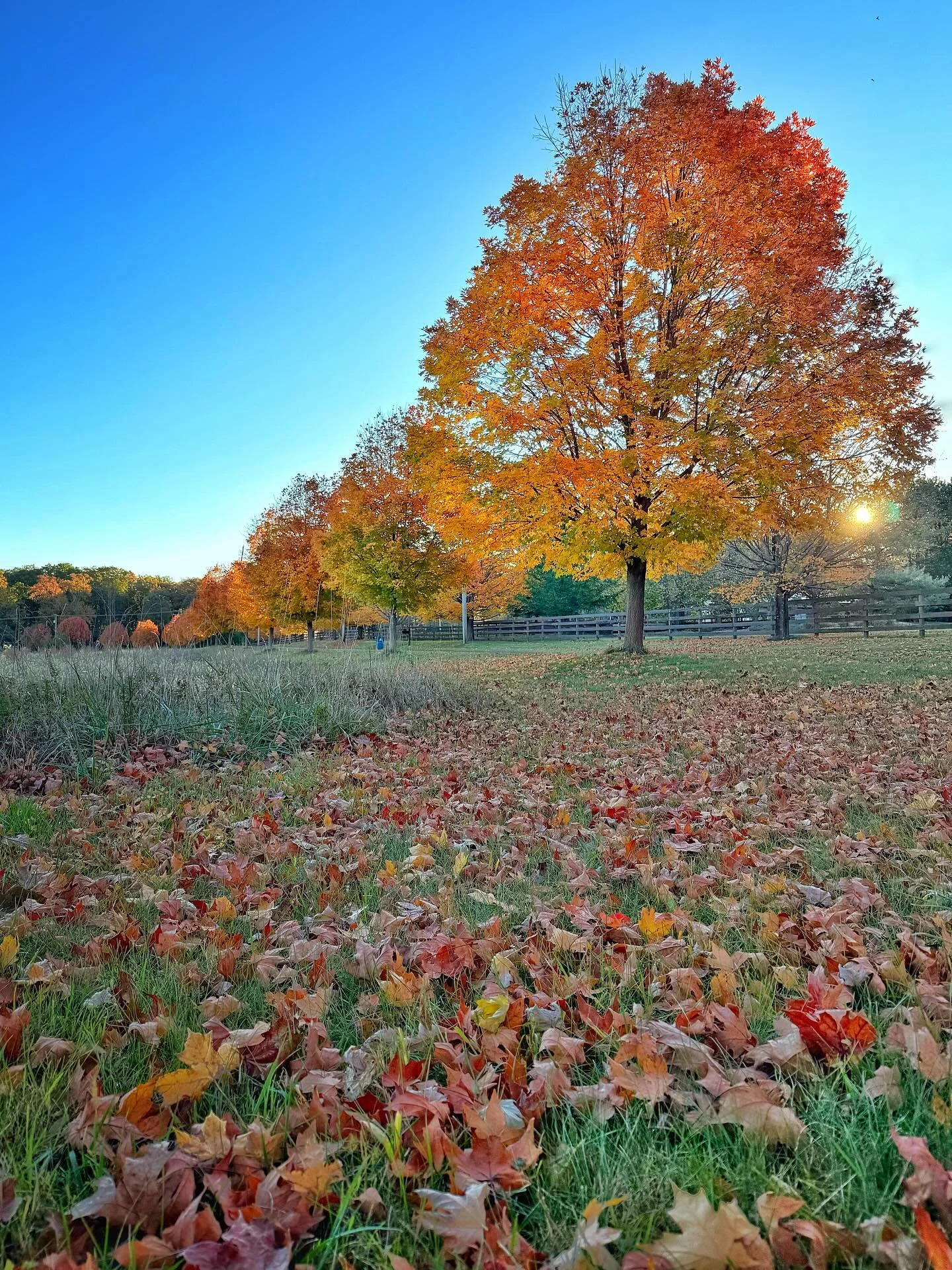 A pull over to catch this quick moment a few hours ago. 
Autumn has been awfully nice here in New Jersey this year. 
#liveinthemoment #autumn #fallvibes