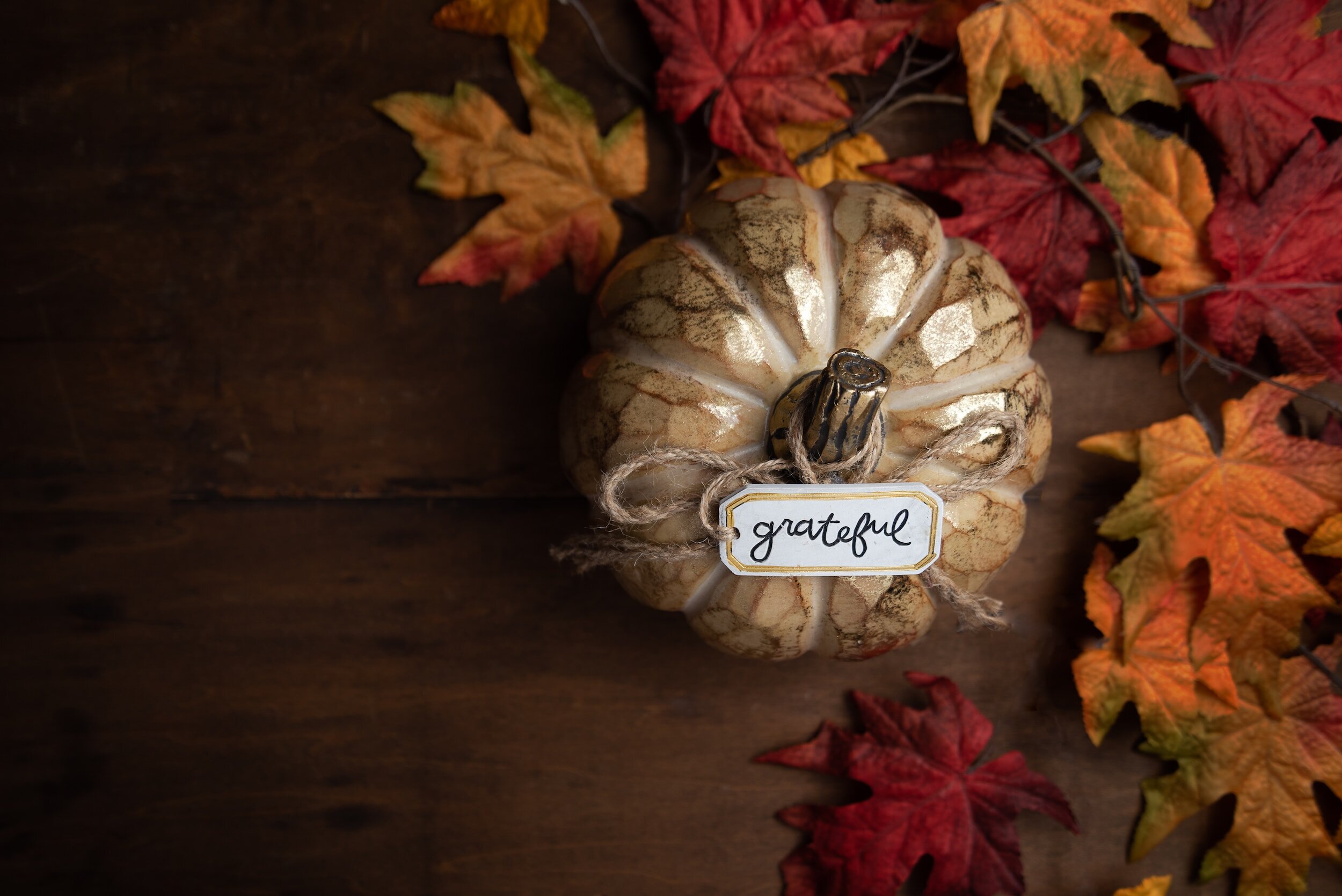 No classes this week Happy Thanksgiving!