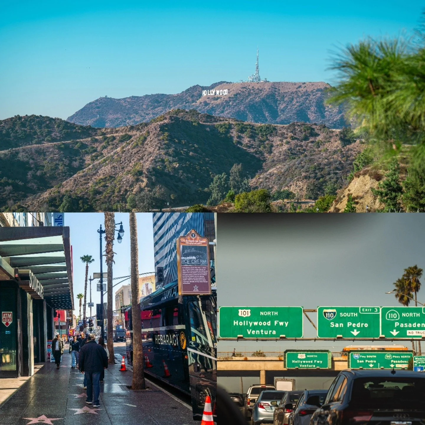 A few shots from a recent work trip. Decided to go full tourist.
.
.
.
#scenicphotography #sonyalpha #sonya7riii #sonyphotography #sony70200gmii #hollywood #hollywoodblvd #hollywoodwalkoffame