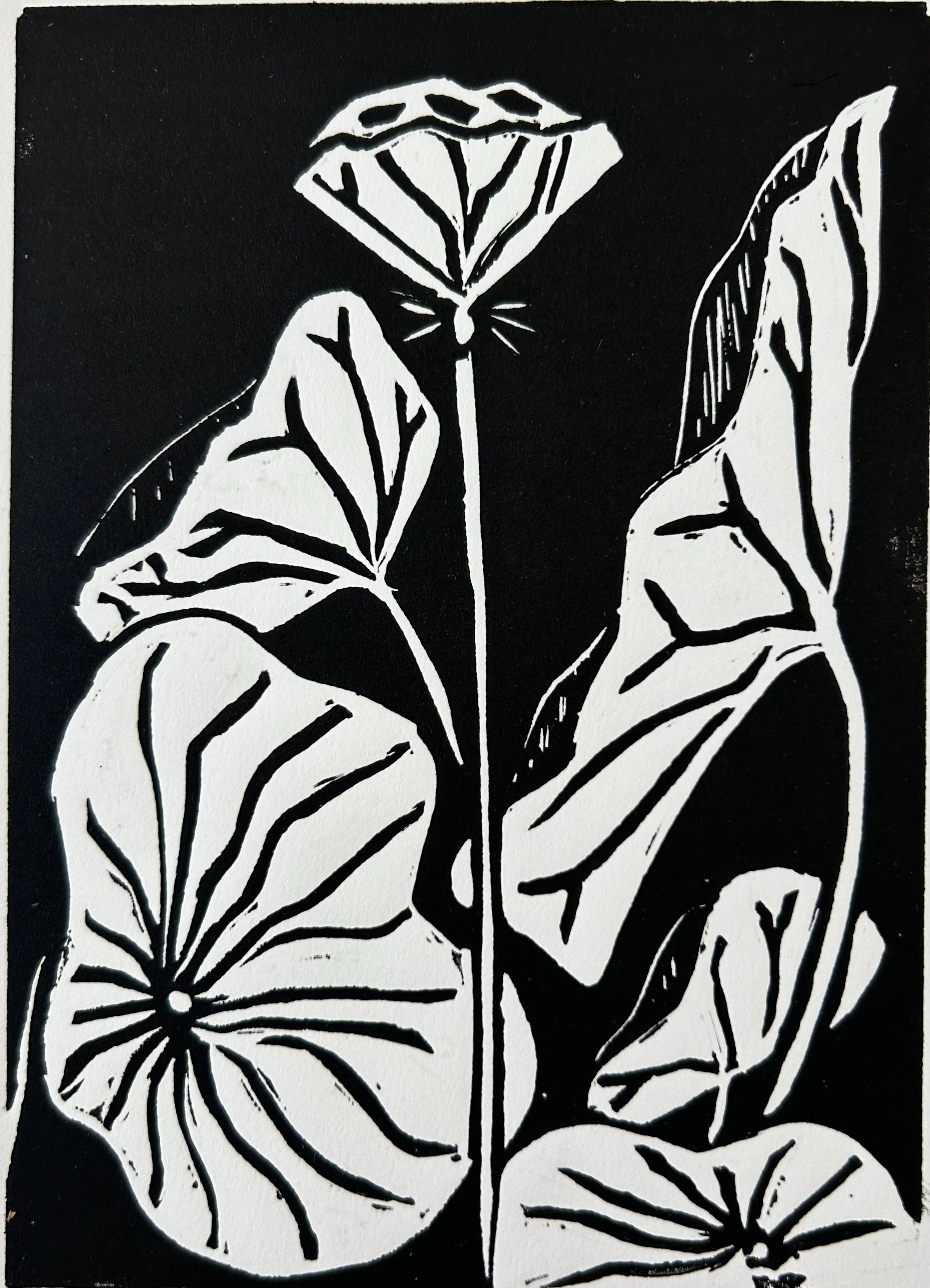 Lotus, 2025. Linocut, edition of 3; 7x5".