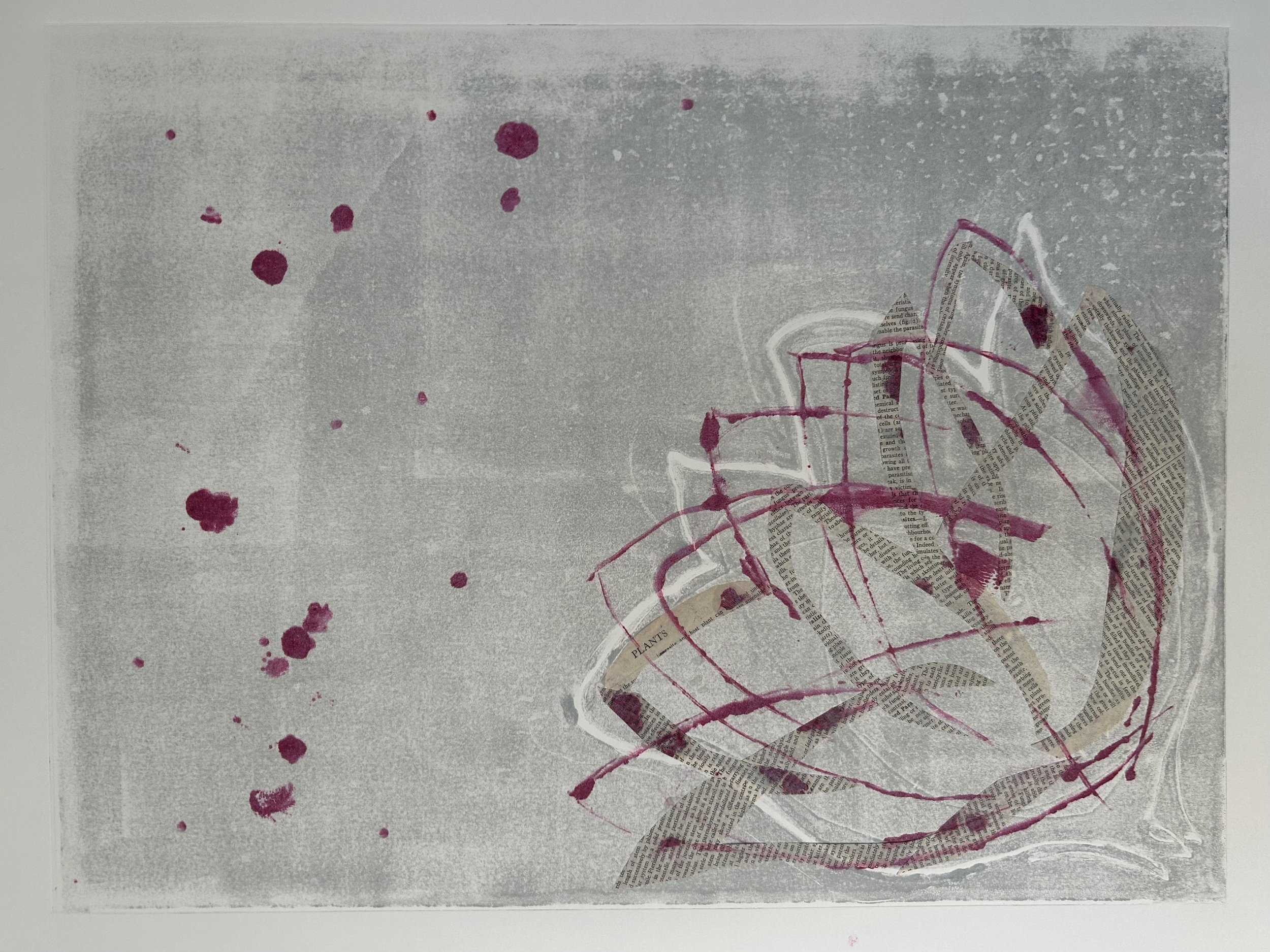 Nymphaea, 2022. Monotype with chine-collé; 18x24".