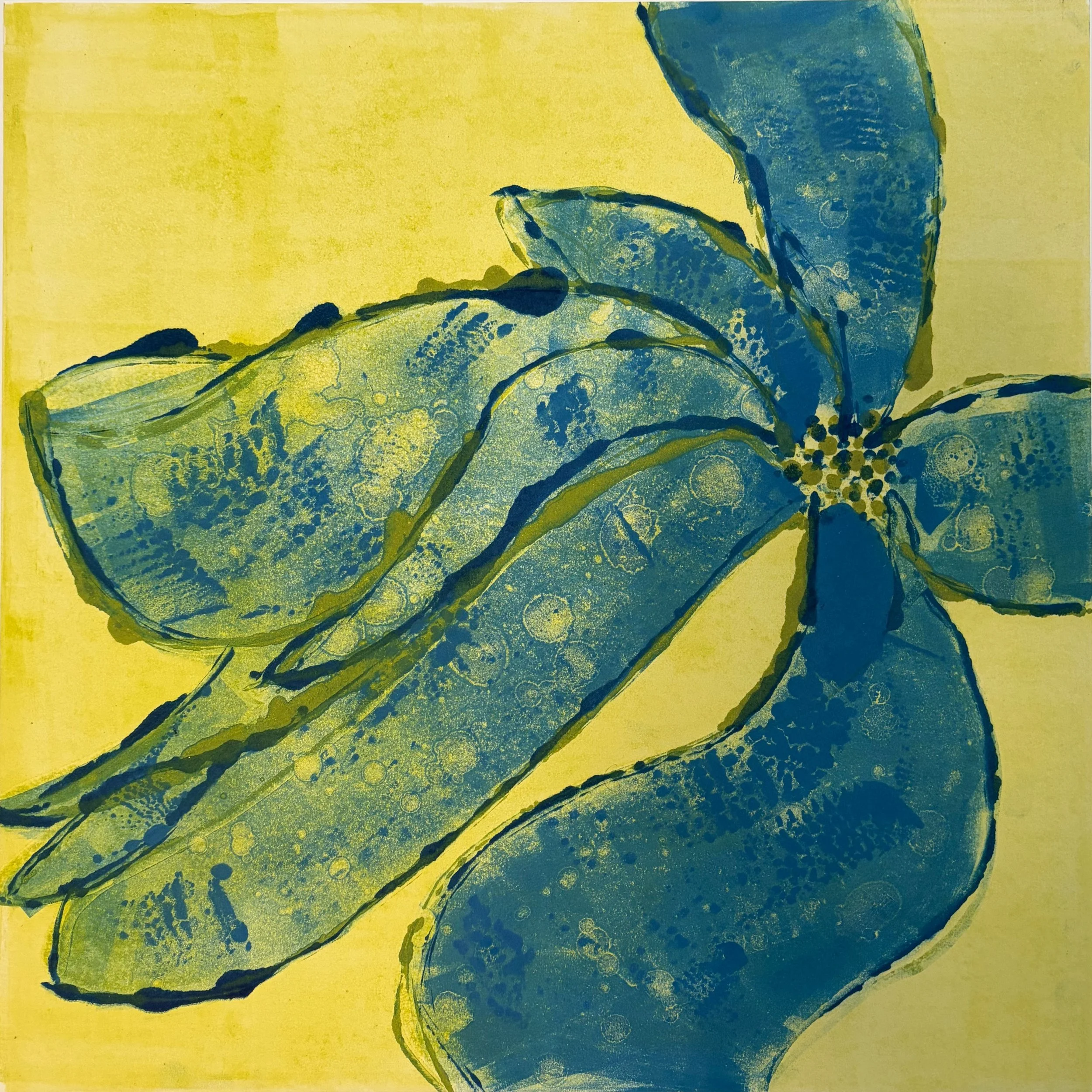 Don't Forget Me, 2025. Monotype, 20x20".