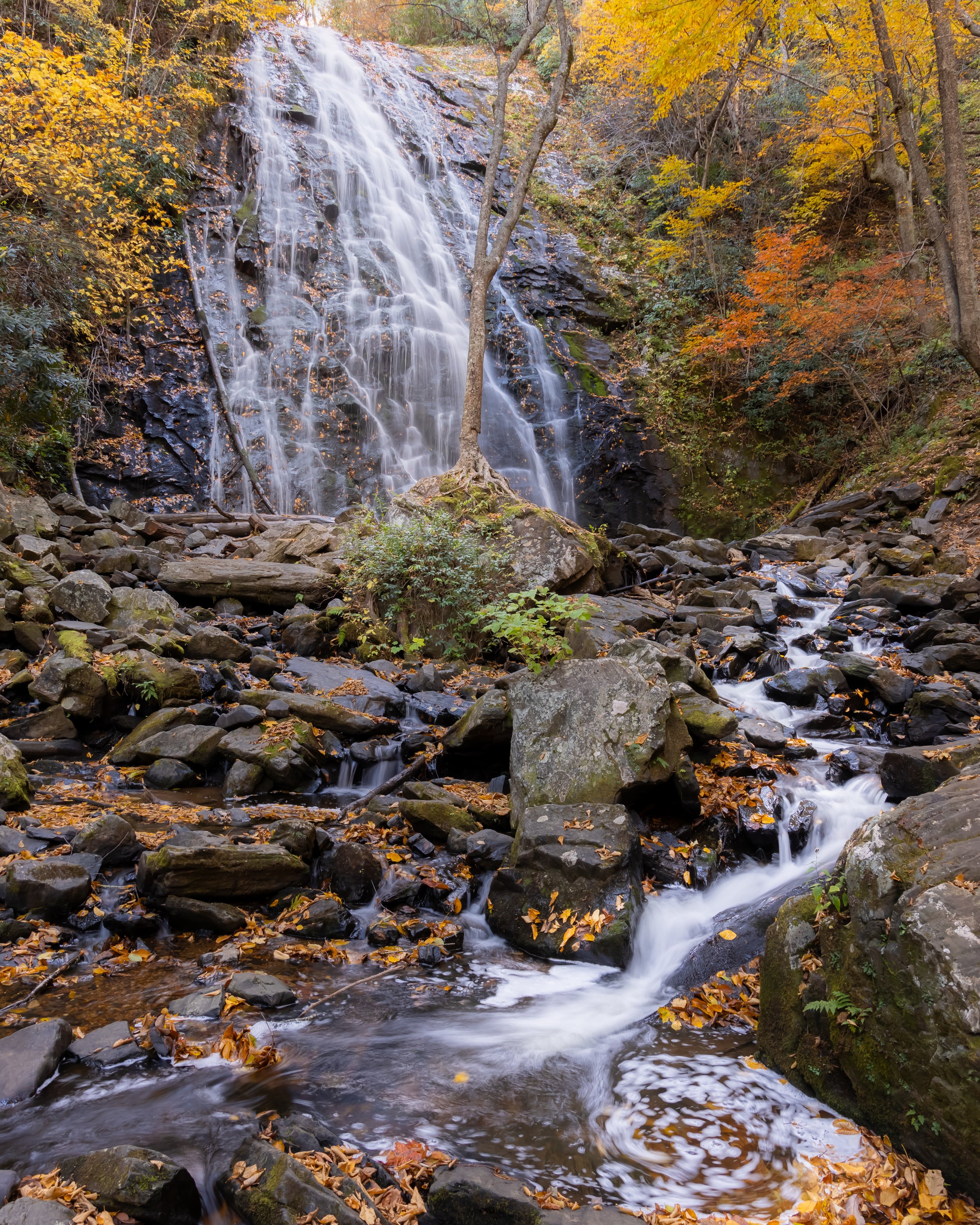 Crab Tree Falls