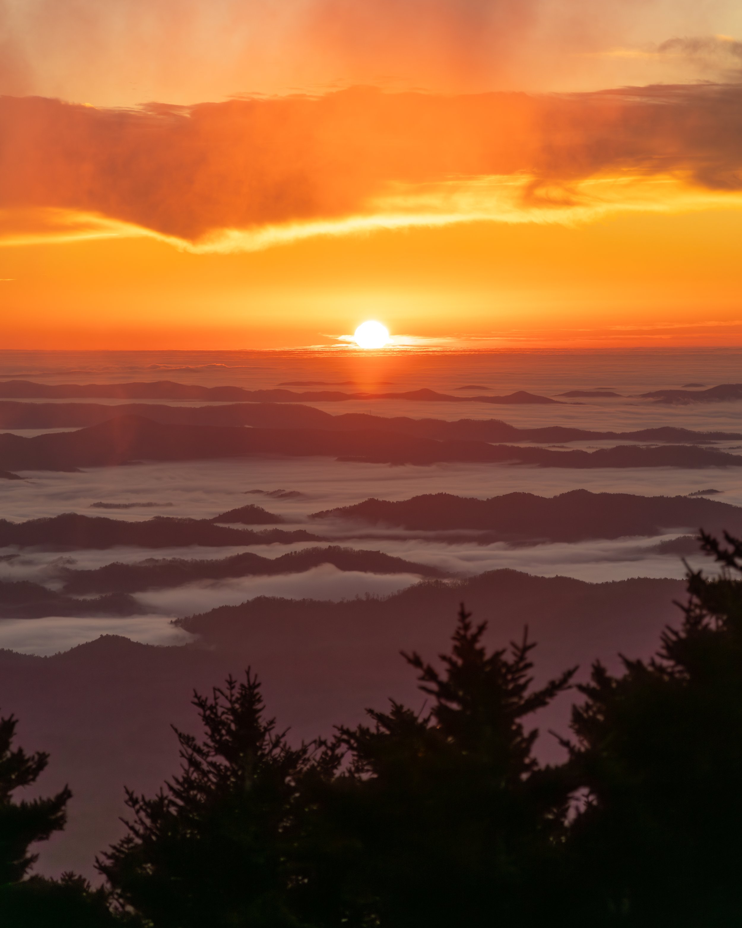 Sunrise from Grandfather Mountain