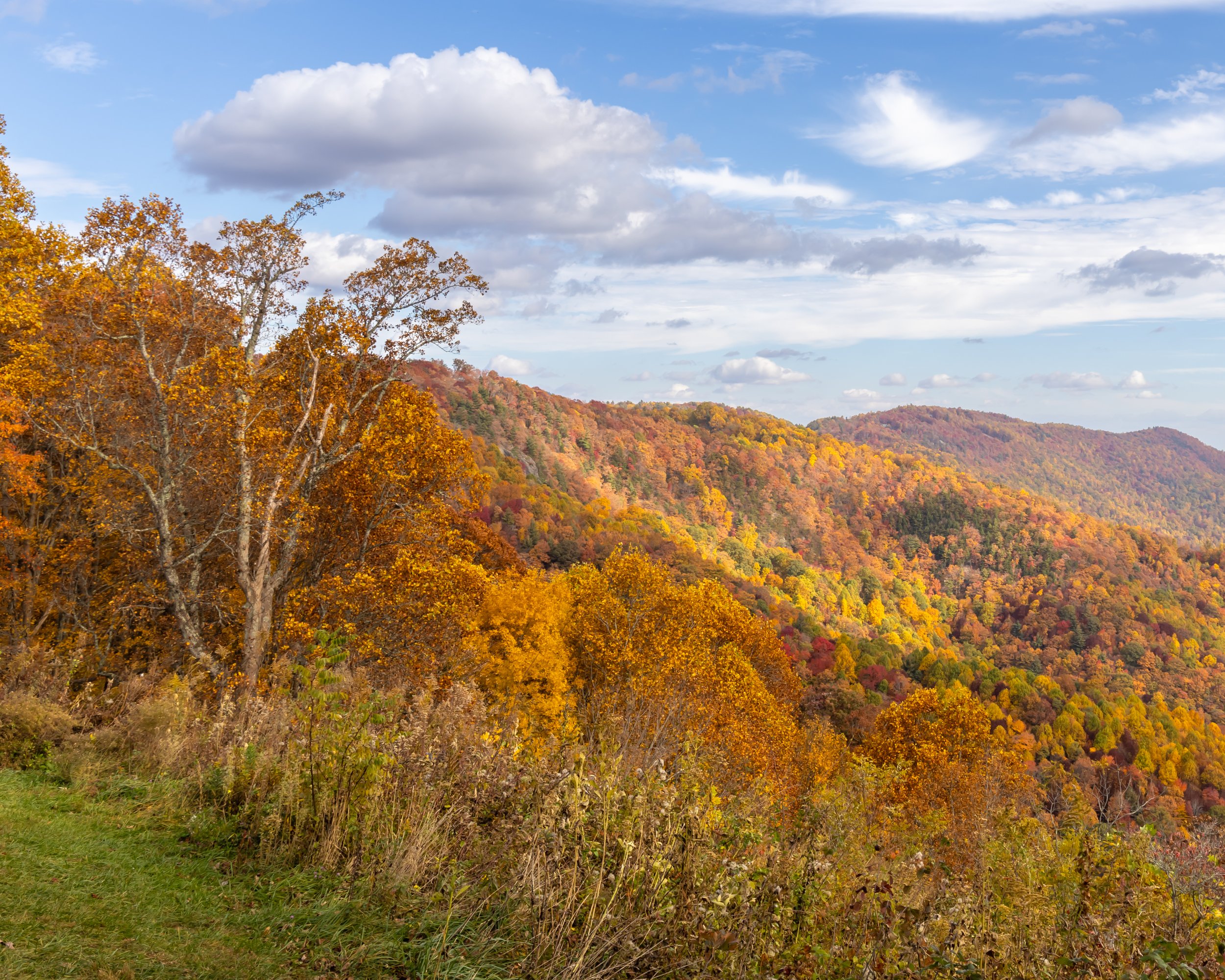 Fall view on the BRP