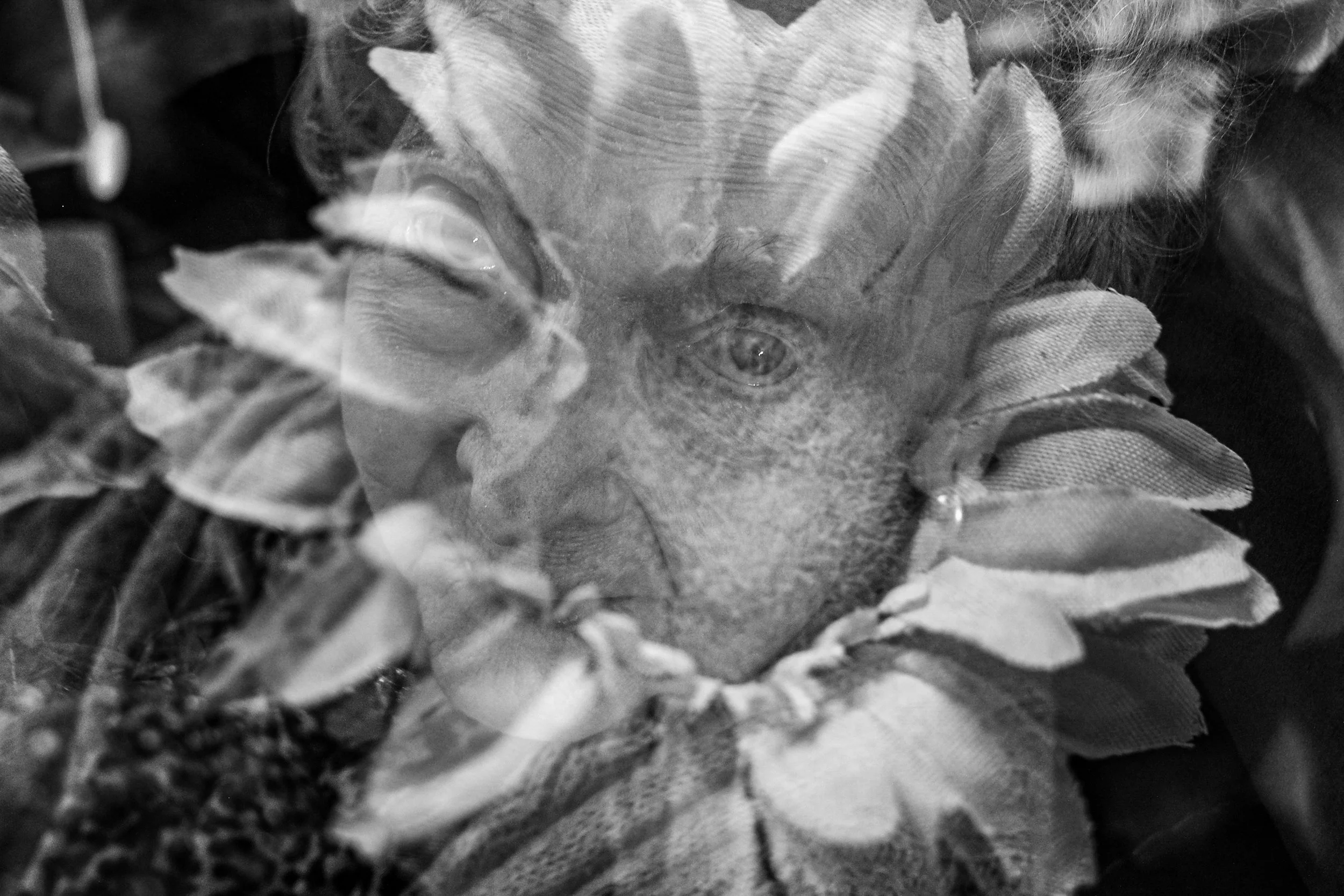 Day 40