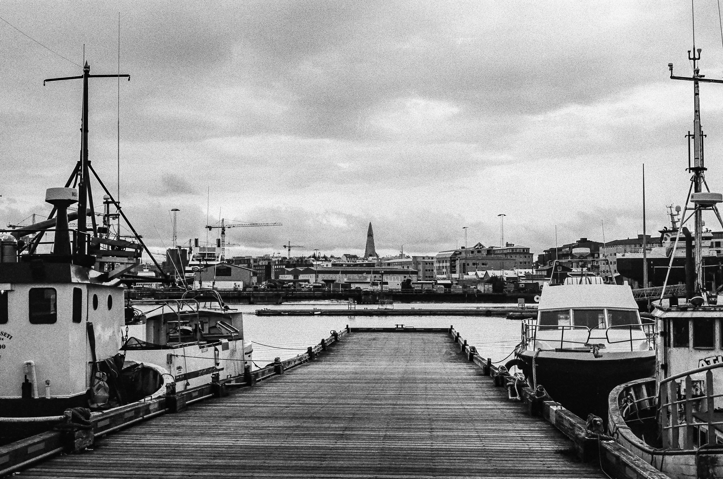 50720037.jpg