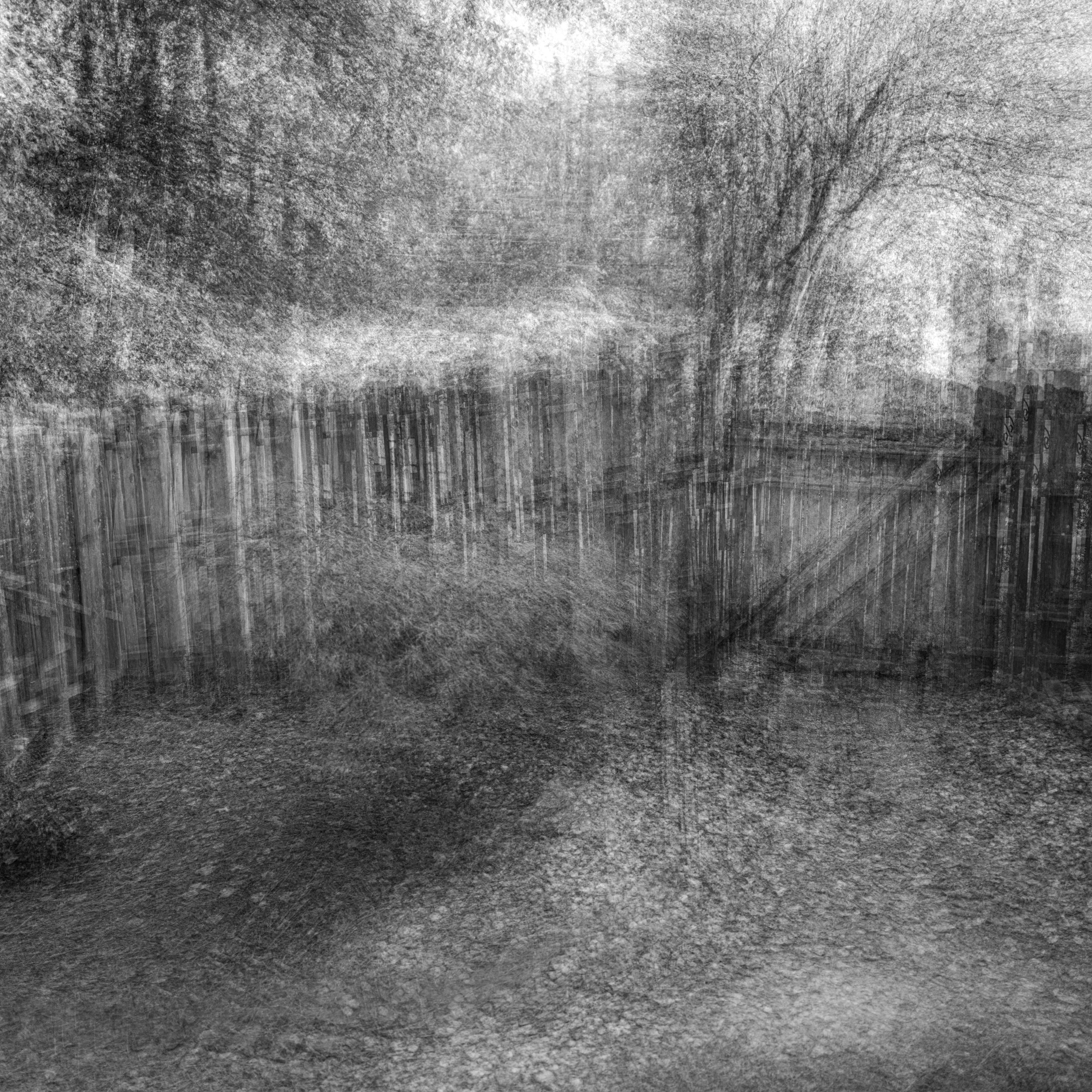 DSCF3809.jpg