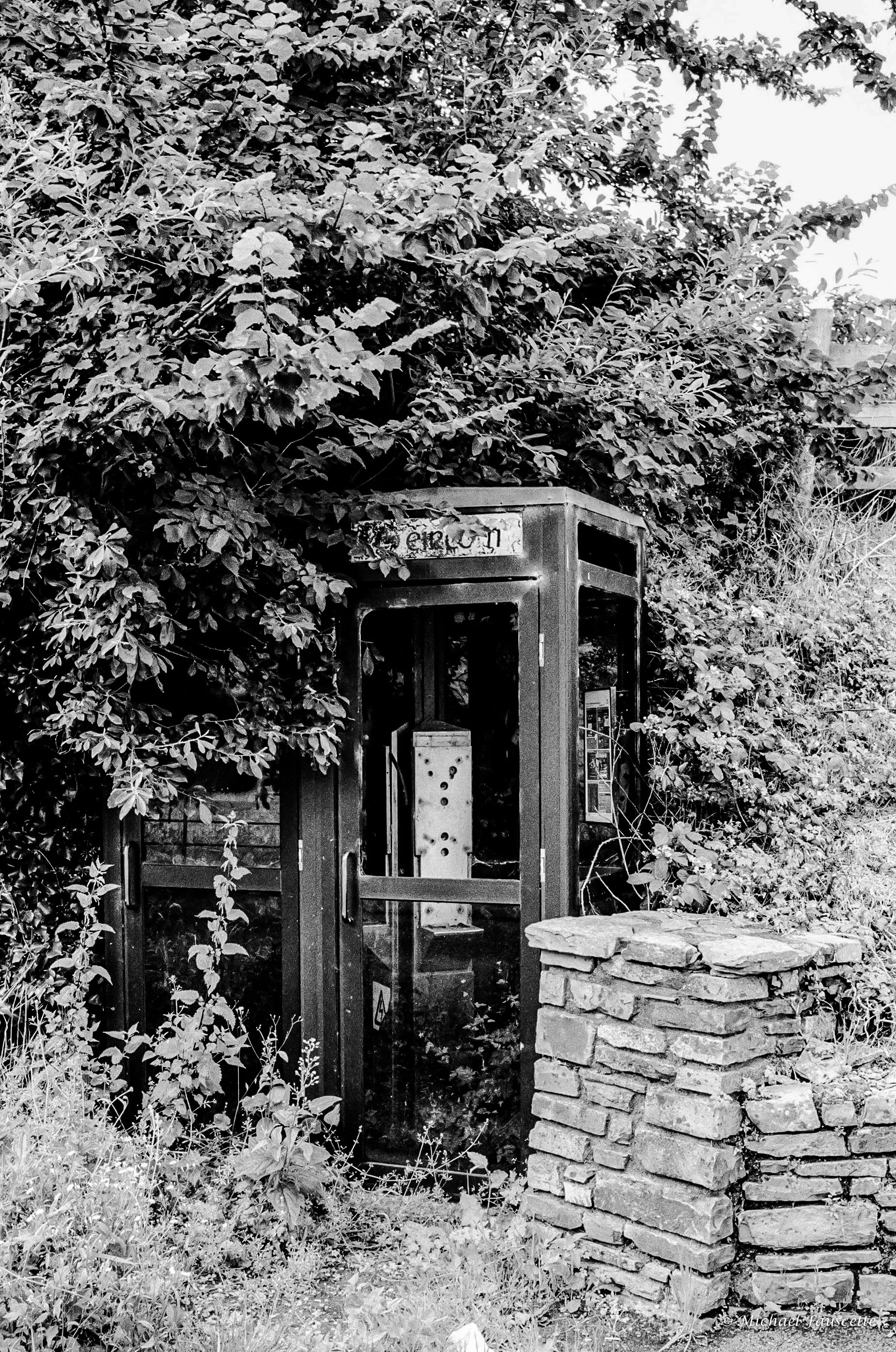 000001960002-1.jpg