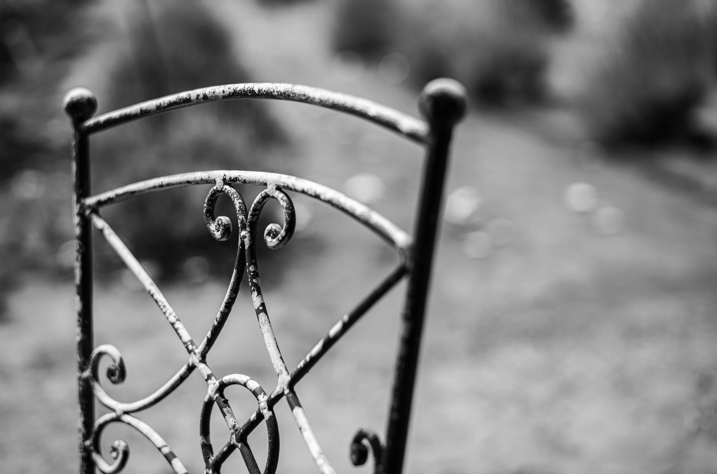 L1001964.jpg