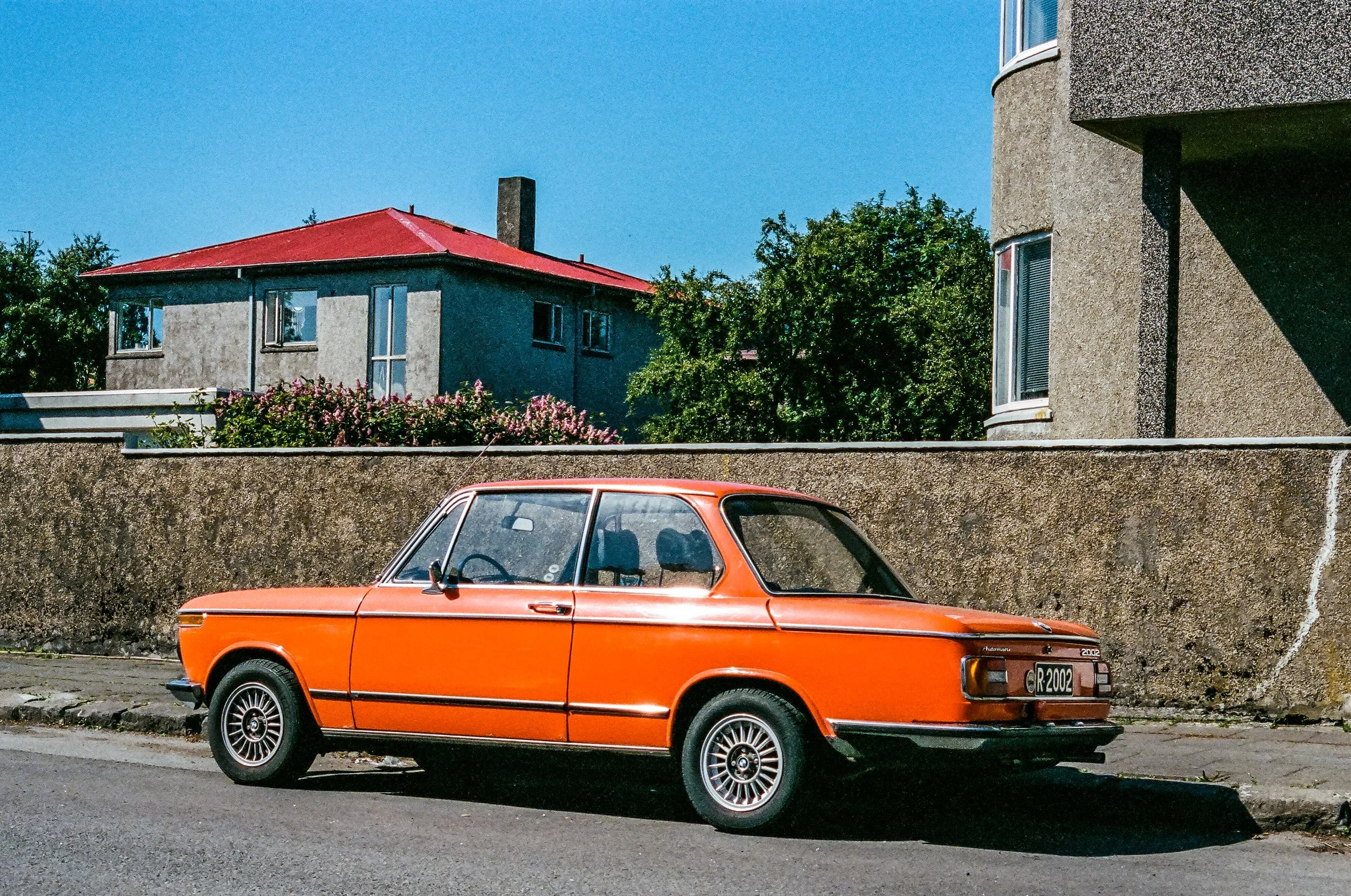 50770032.jpg