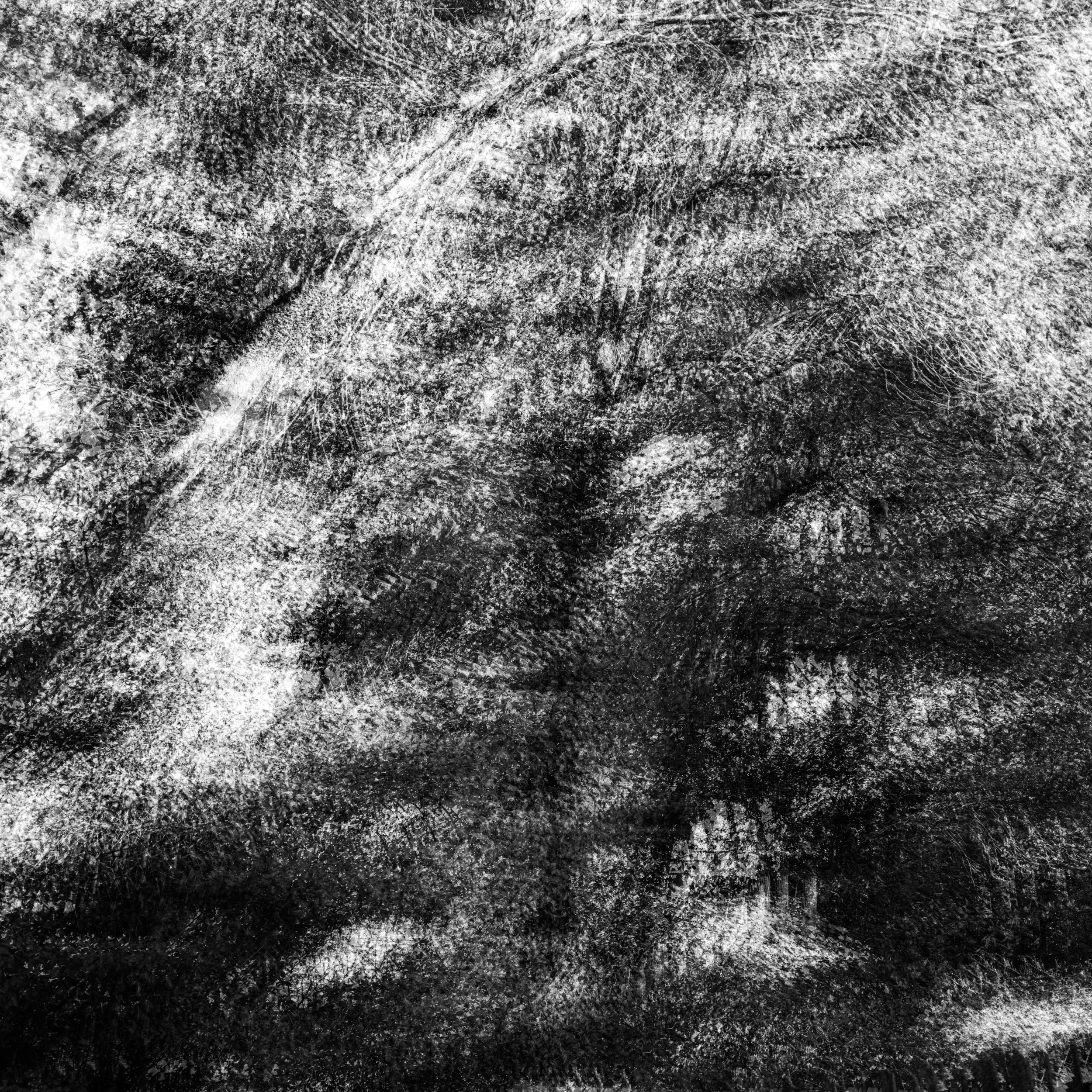 DSCF3848.jpg