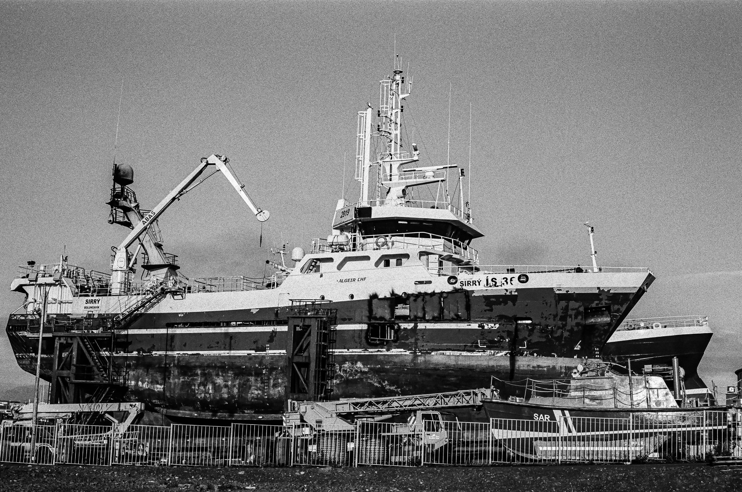 50720026.jpg