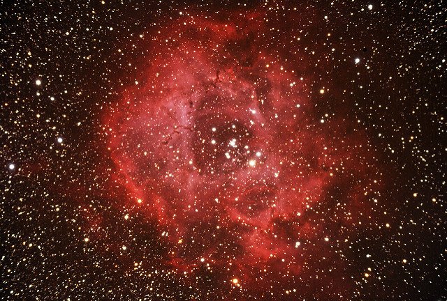 The Rosette nebula (C49)