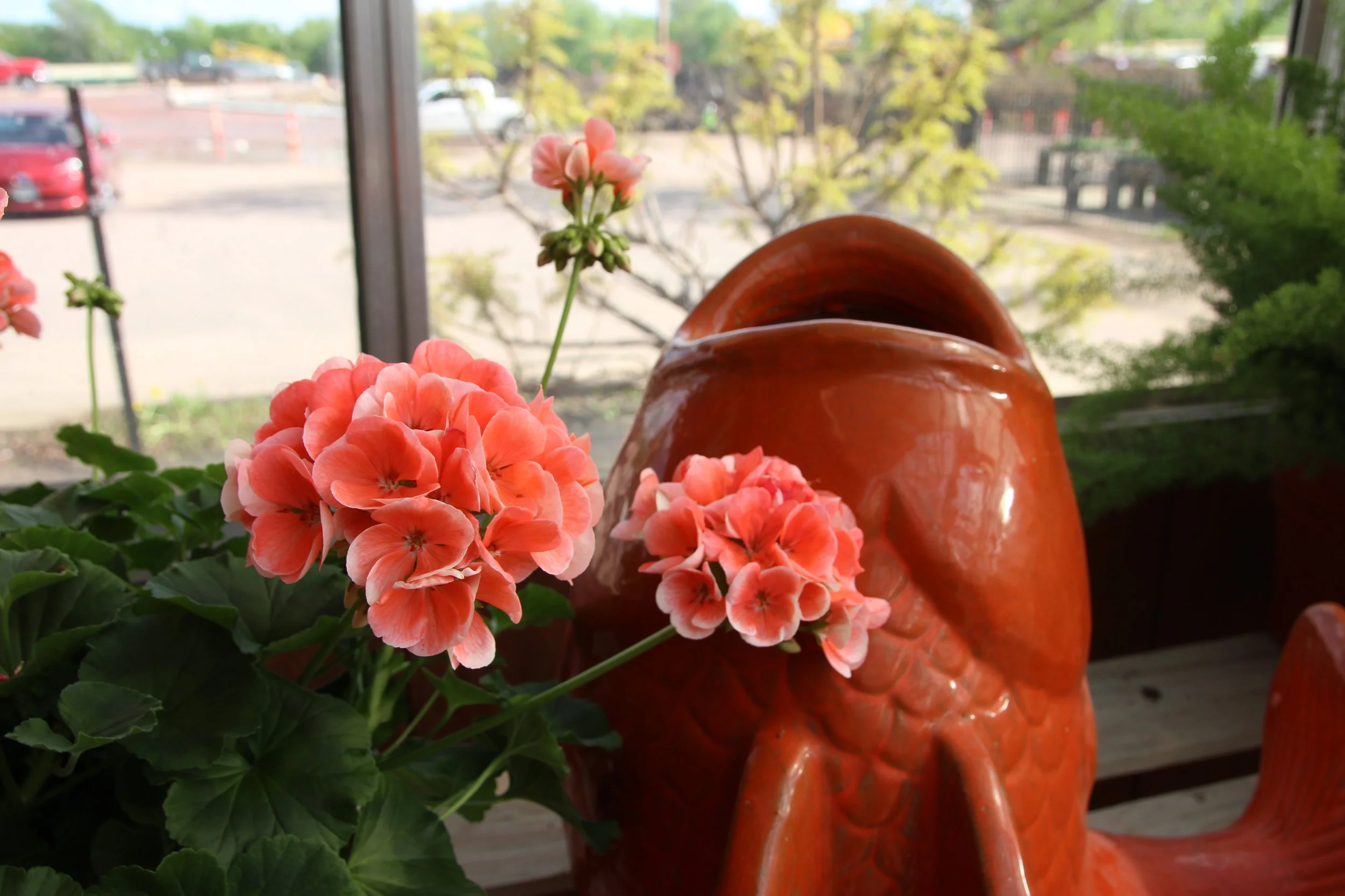 Greenhouse — Cliff Avenue Greenhouse and Garden Center