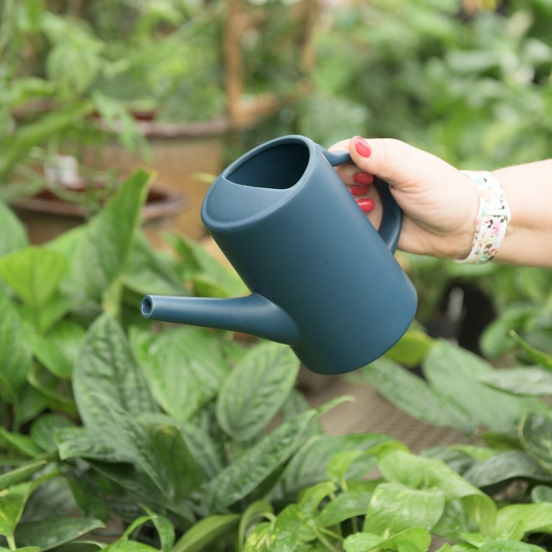 These Momma Pots watering cans are everything!😍