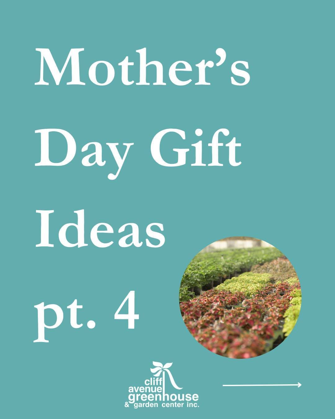 Mother's Day Gift Guide pt. 4💖 Fresh flowers are ALWAYS the best way to go, if you're unsure! Pick up a fresh arrangement, bouquet, or get a little creative and add a ceramic fish as a cute detail😊