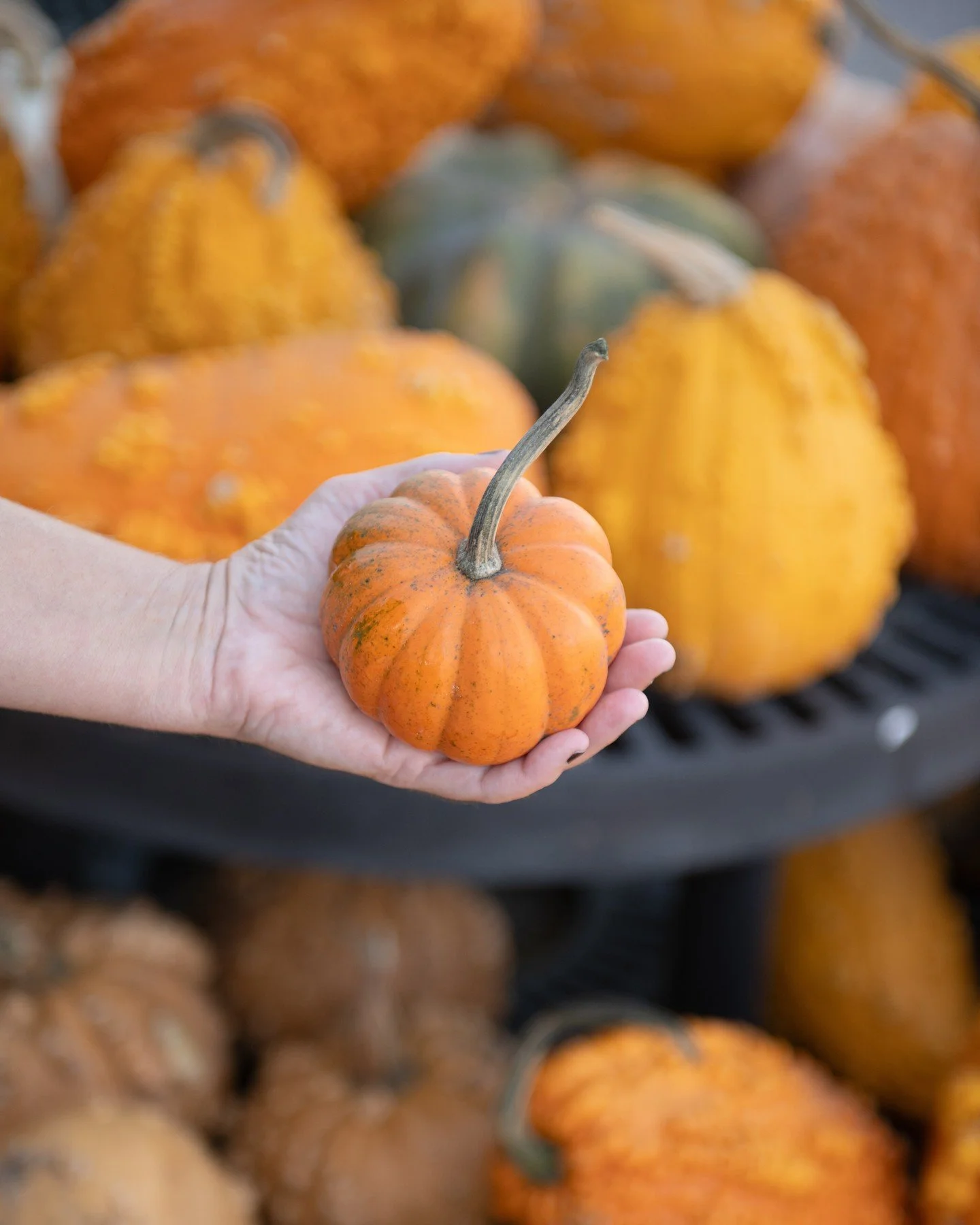 We're using this Saturday as a way to say thanks to YOU! Stop into either store for 20% off your entire purchase, from the time we open until we close! October 18th only, see ya then 👋
