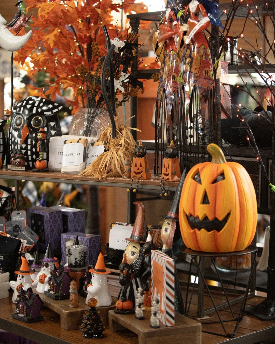 Happy Halloween! 🦇 🎃 👻