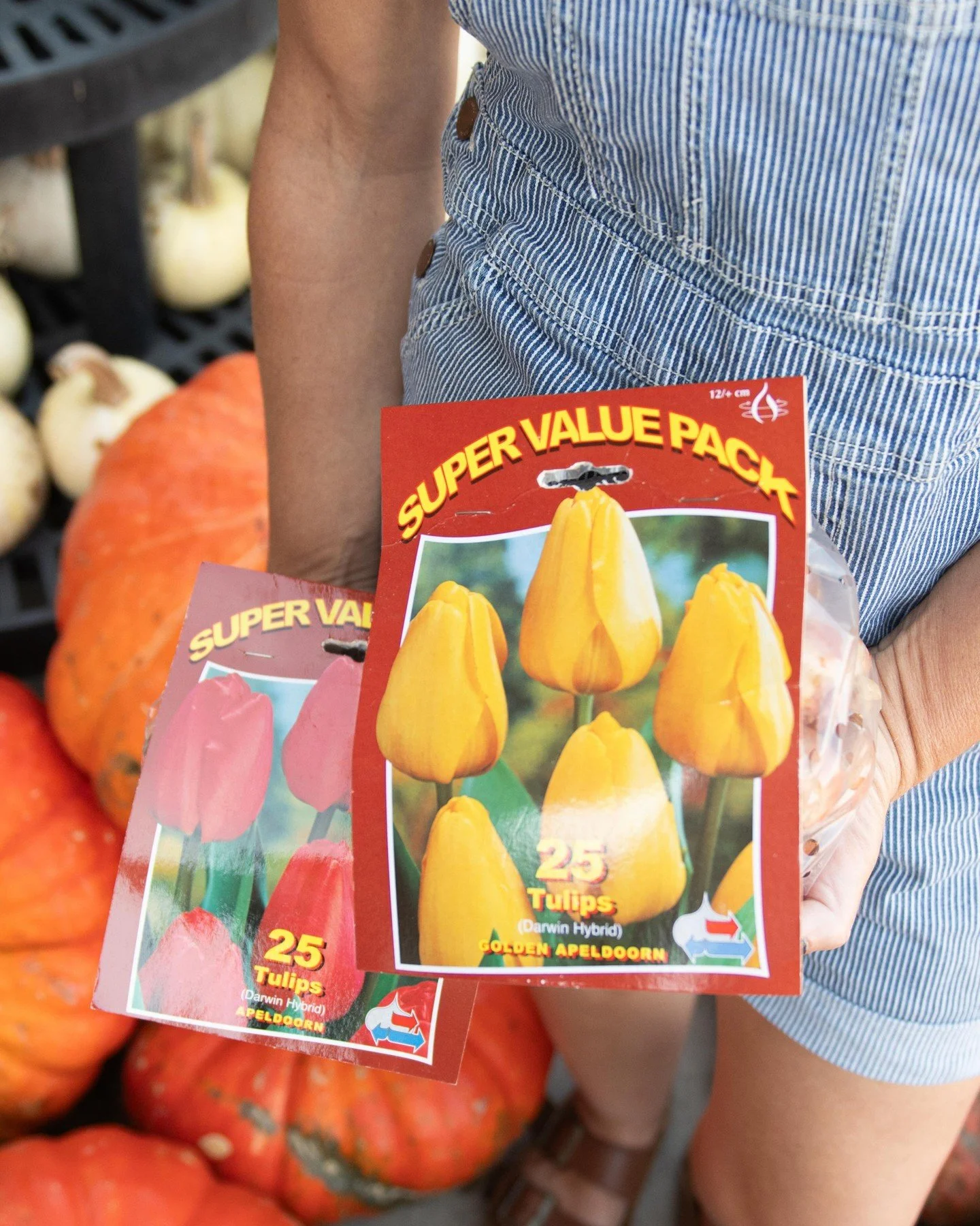 Fall bulbs are 50% off! @ BOTH stores ☺️