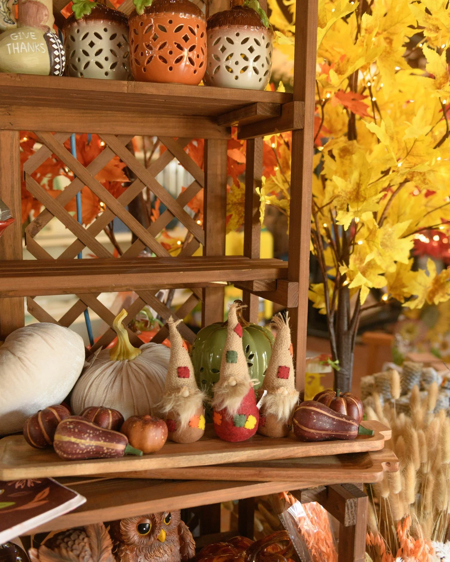 Happy Thanksgiving, we are grateful for you all! ☺️