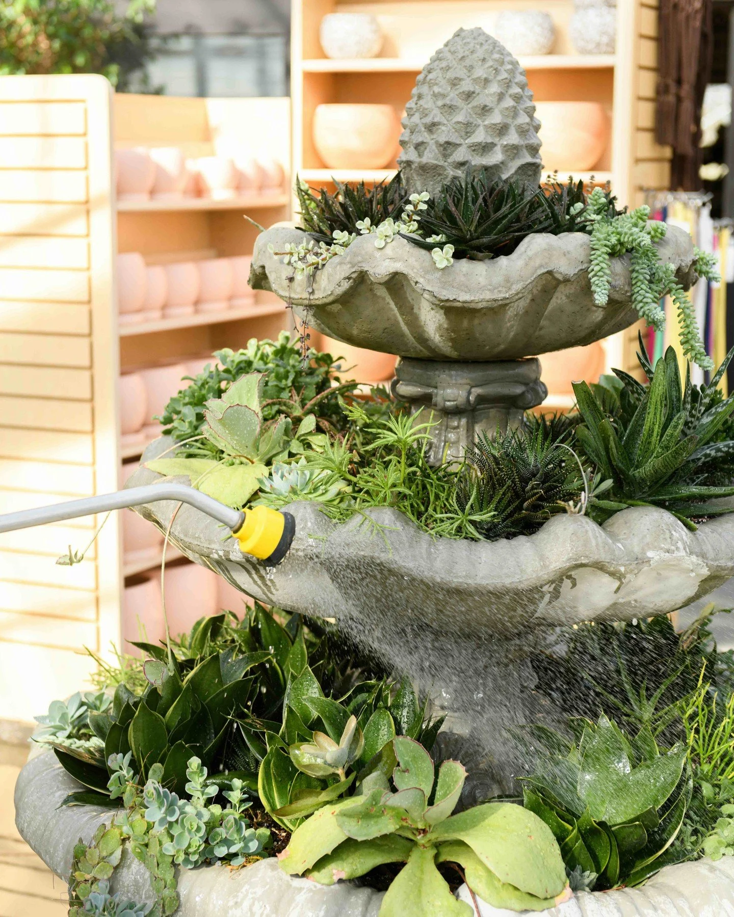 Spend a warm day inside with us, our Greenhouses are always between 68-72 degrees ☺️ It's basically a tropical vacation! 🏝️